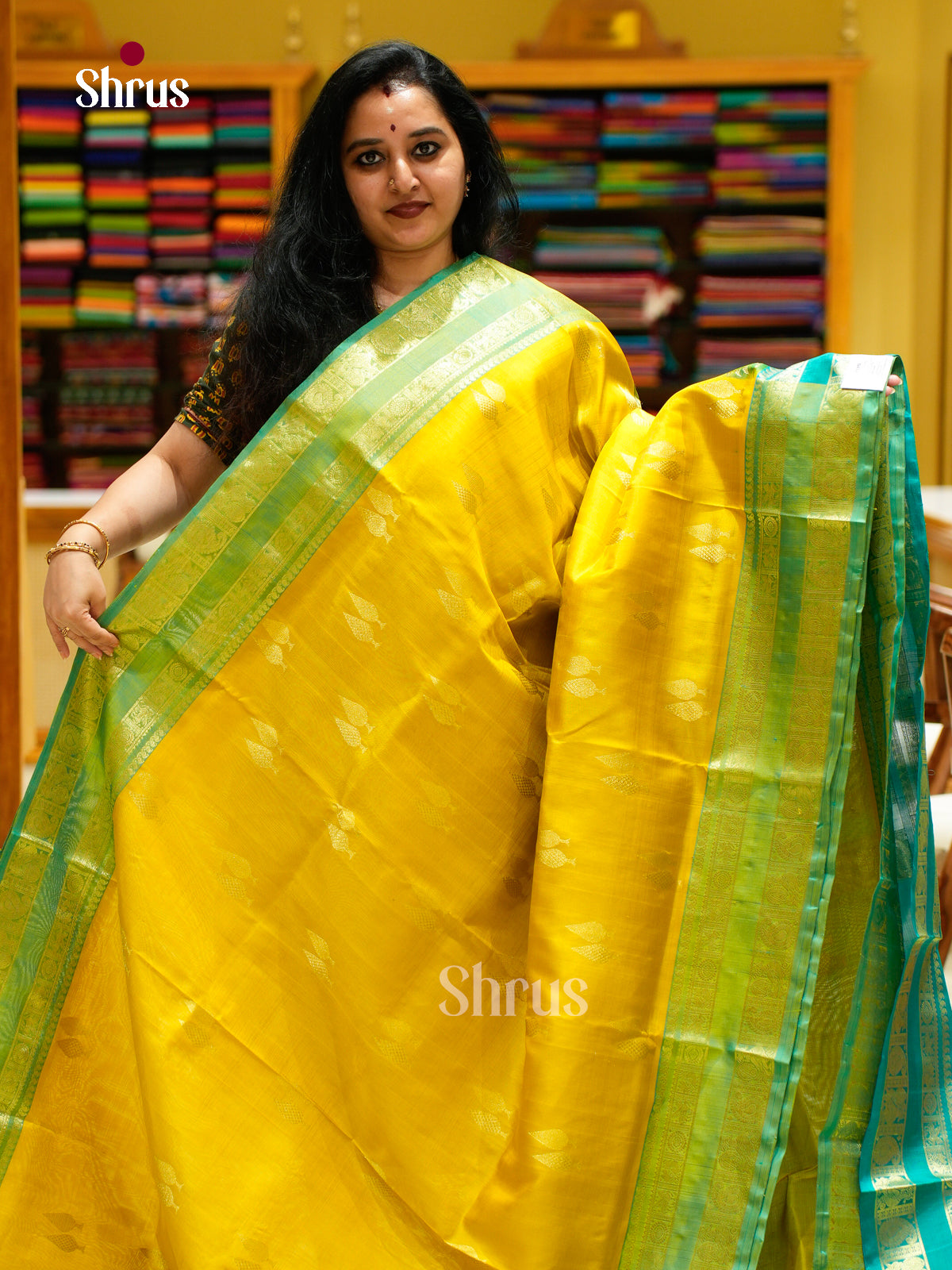 Venkatagiri silk Saree - EES18165