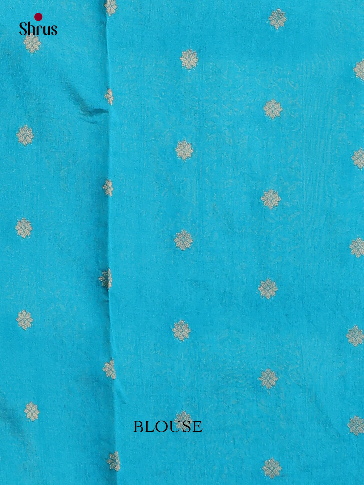 Bamboo silk Saree - EES23002