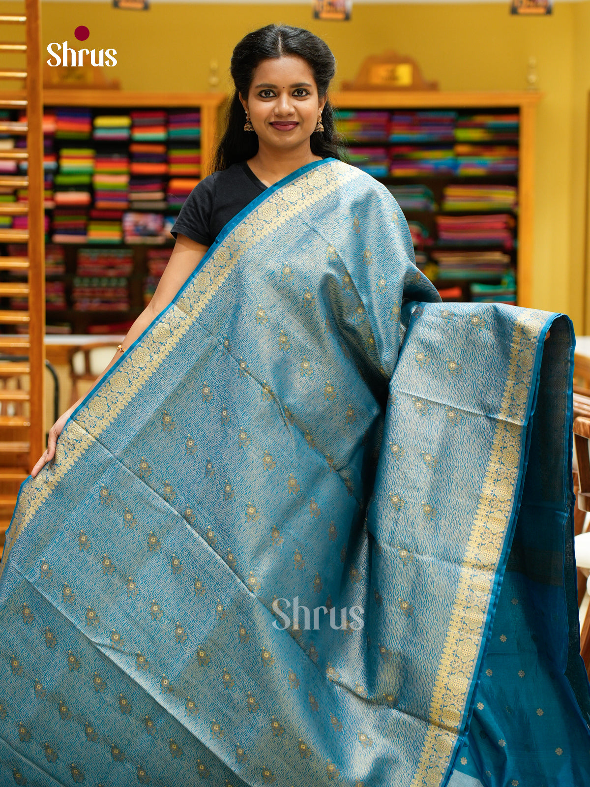 Bamboo silk Saree - EES23003