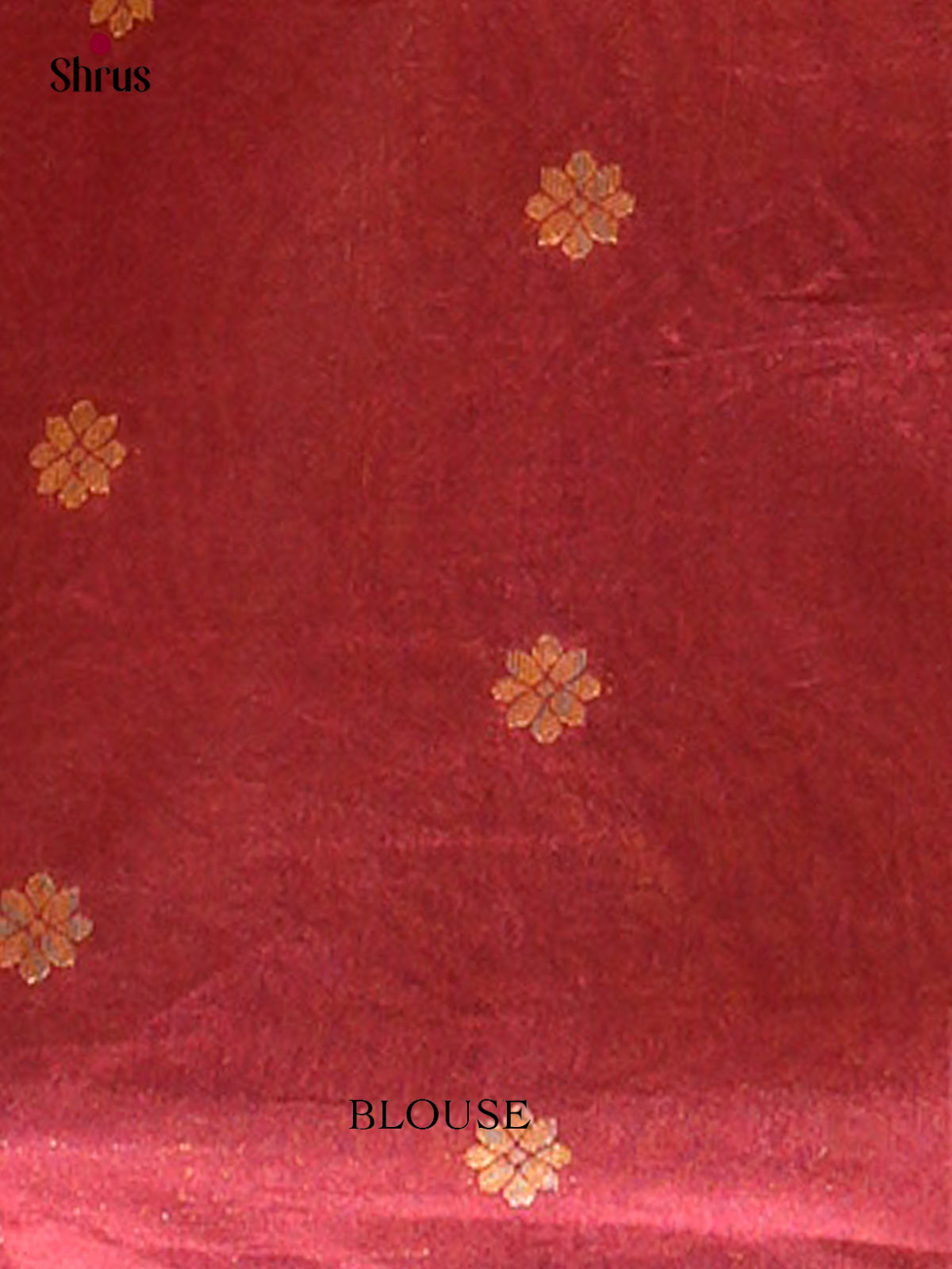 Bamboo silk Saree - EES23004 - Shop on Shrus.com