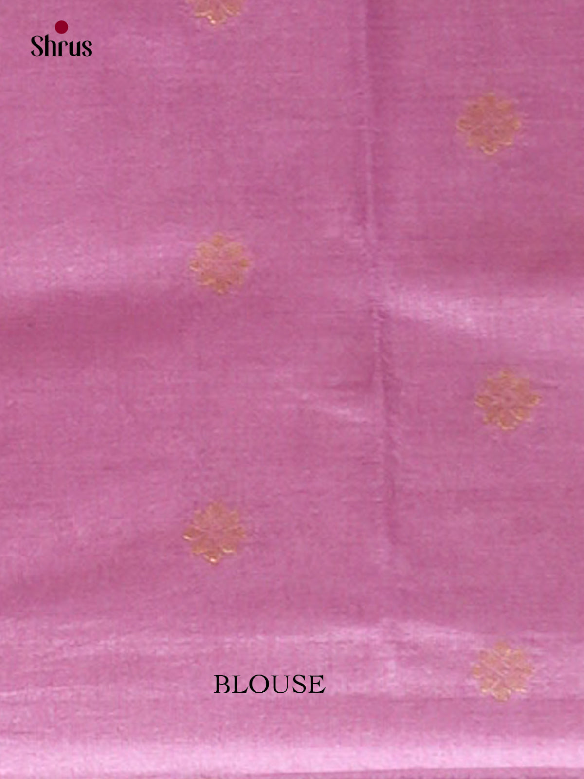 Bamboo silk Saree - EES23006 - Shop on Shrus.com