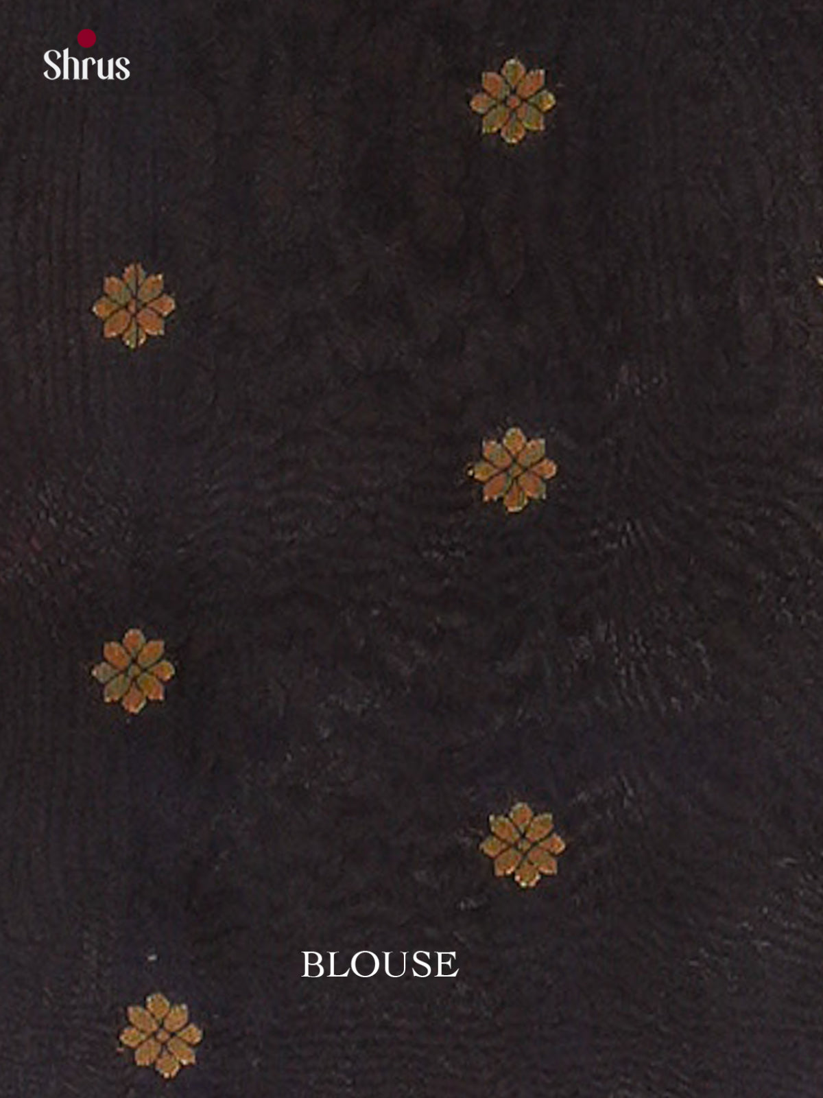 Bamboo silk Saree - EES23008