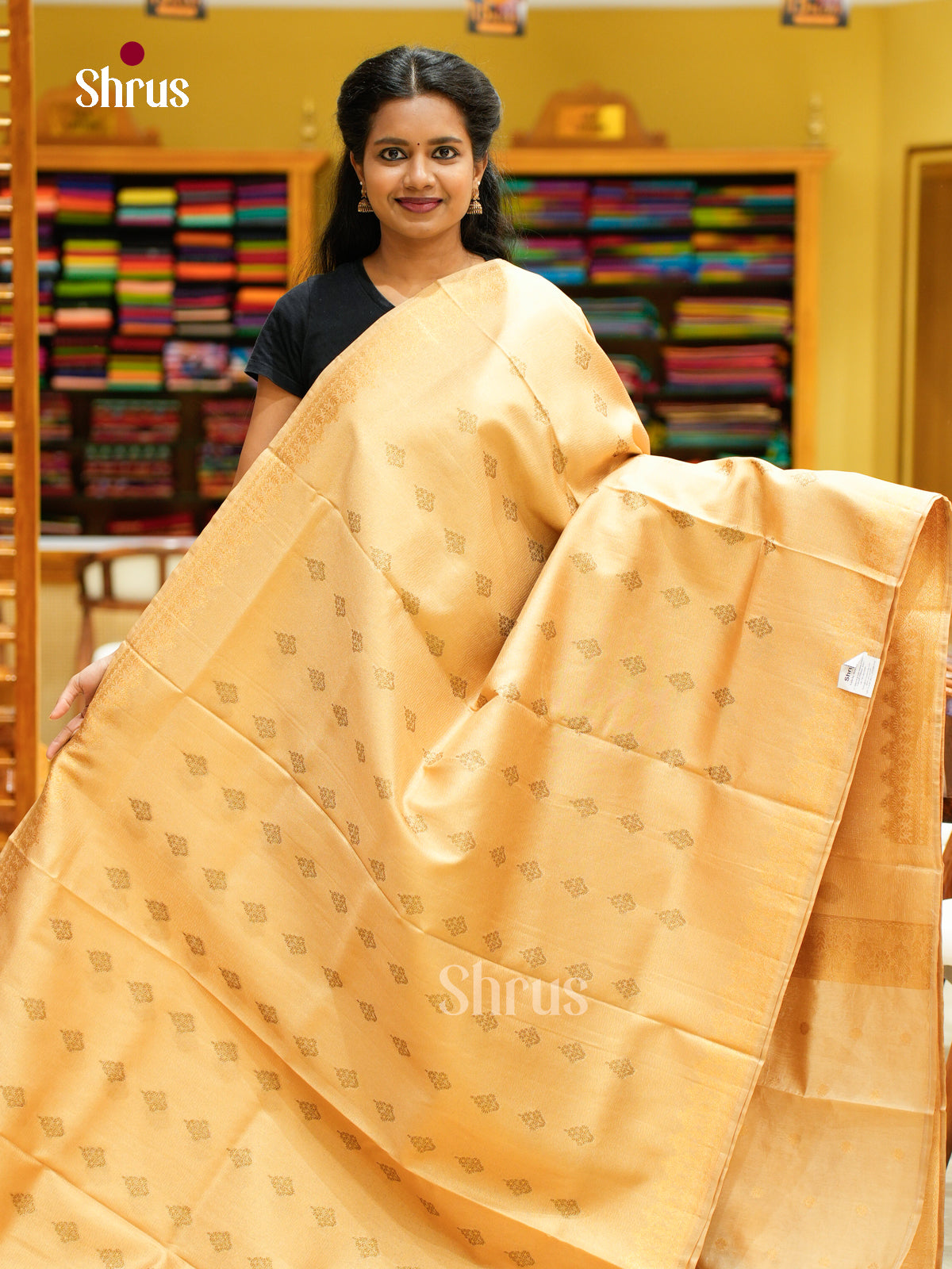 Bamboo silk Saree - EES23026 - Shop on Shrus.com