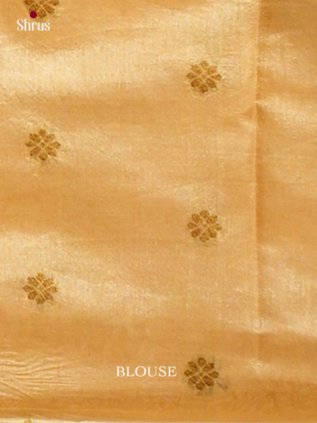 Bamboo silk Saree - EES23032 - Shop on Shrus.com