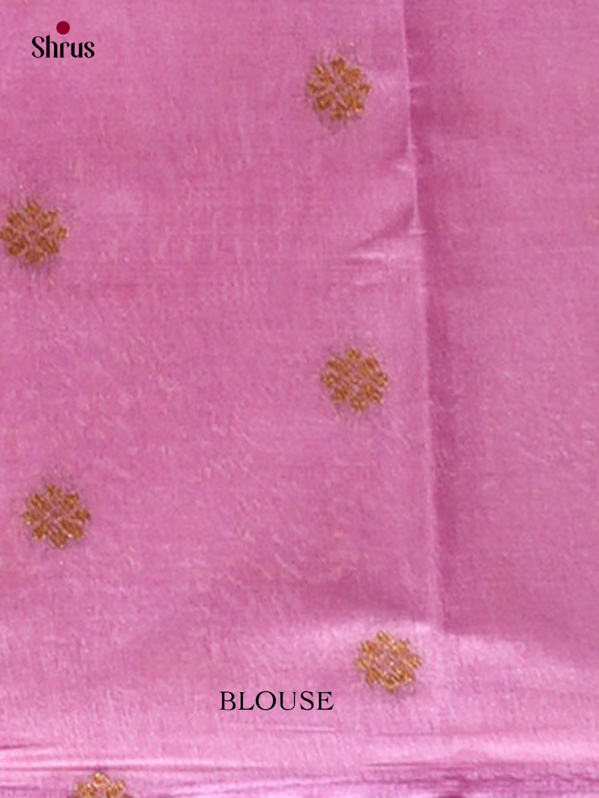 Bamboo silk Saree - EES23033