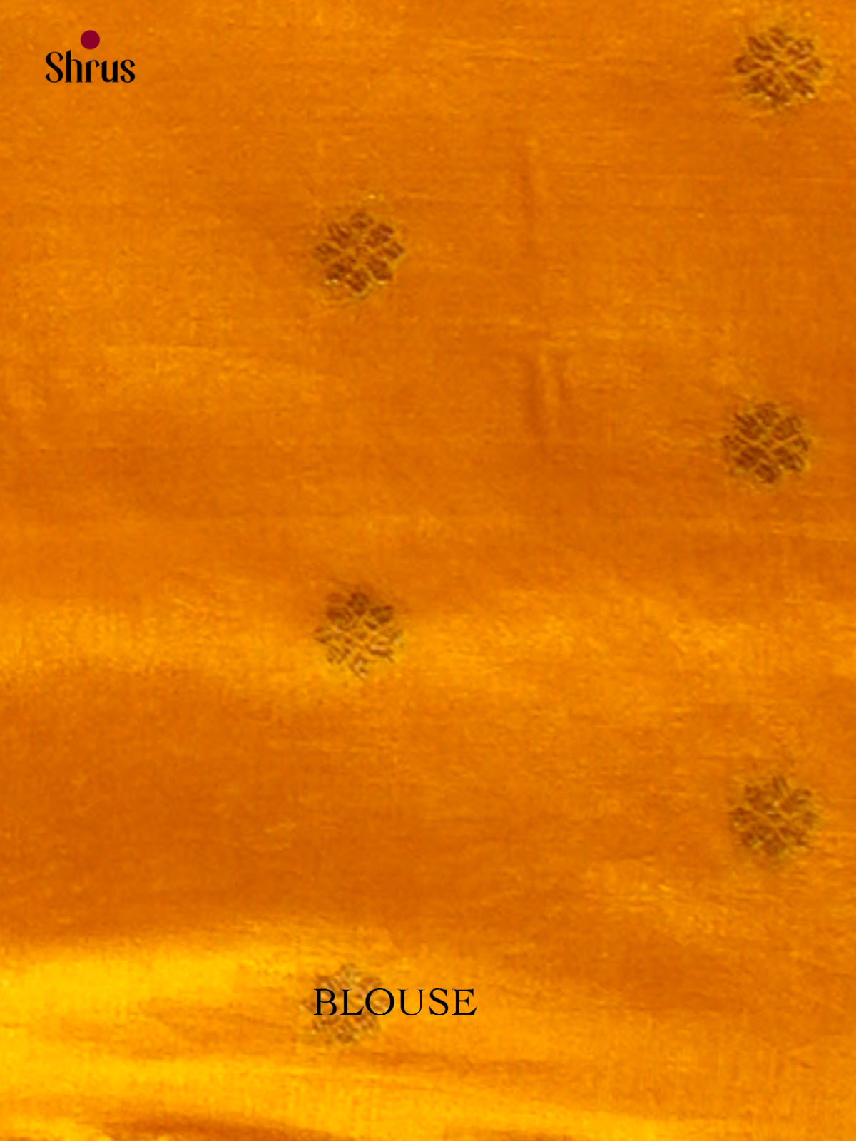 Bamboo silk Saree - EES23035 - Shop on Shrus.com