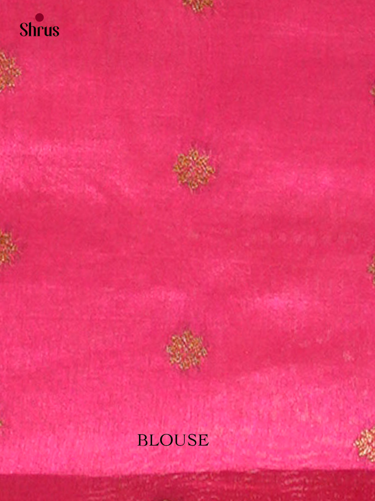 Bamboo silk Saree - EES23037 - Shop on Shrus.com