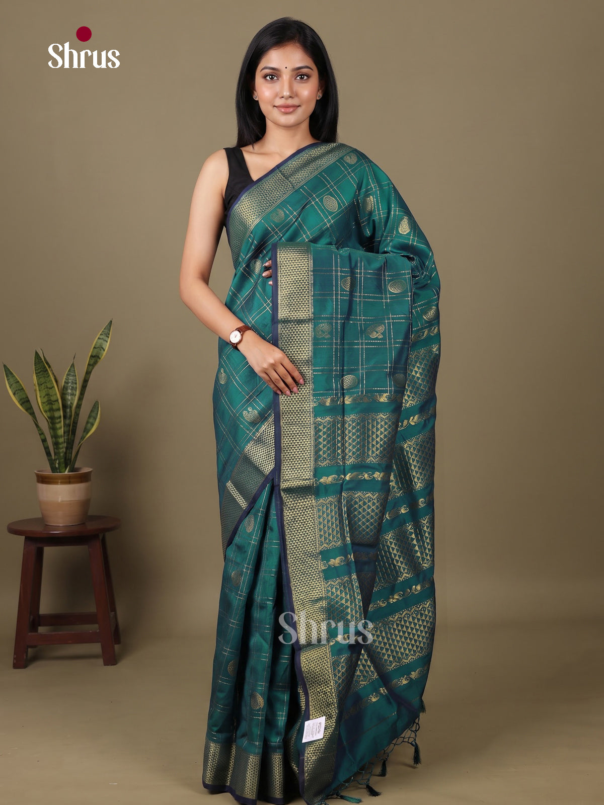 Kalyani Cotton Saree - EES26010