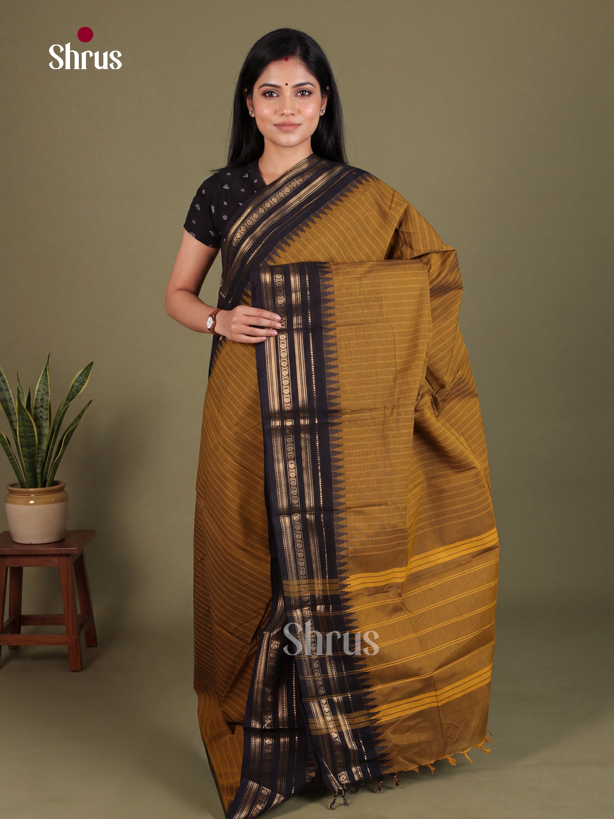 Chettinad Cotton Saree - EES26160
