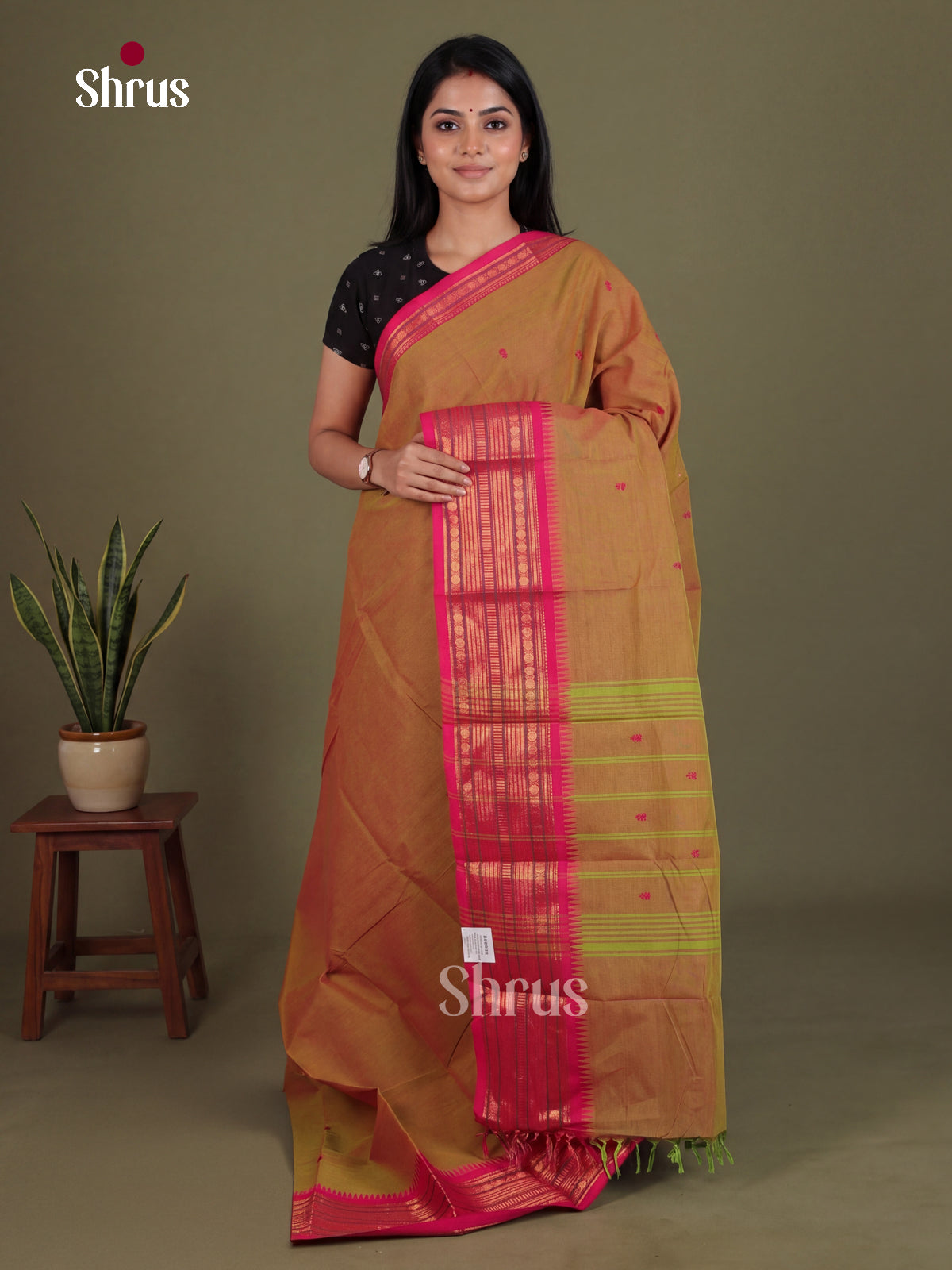 Chettinad Cotton Saree - EES26170