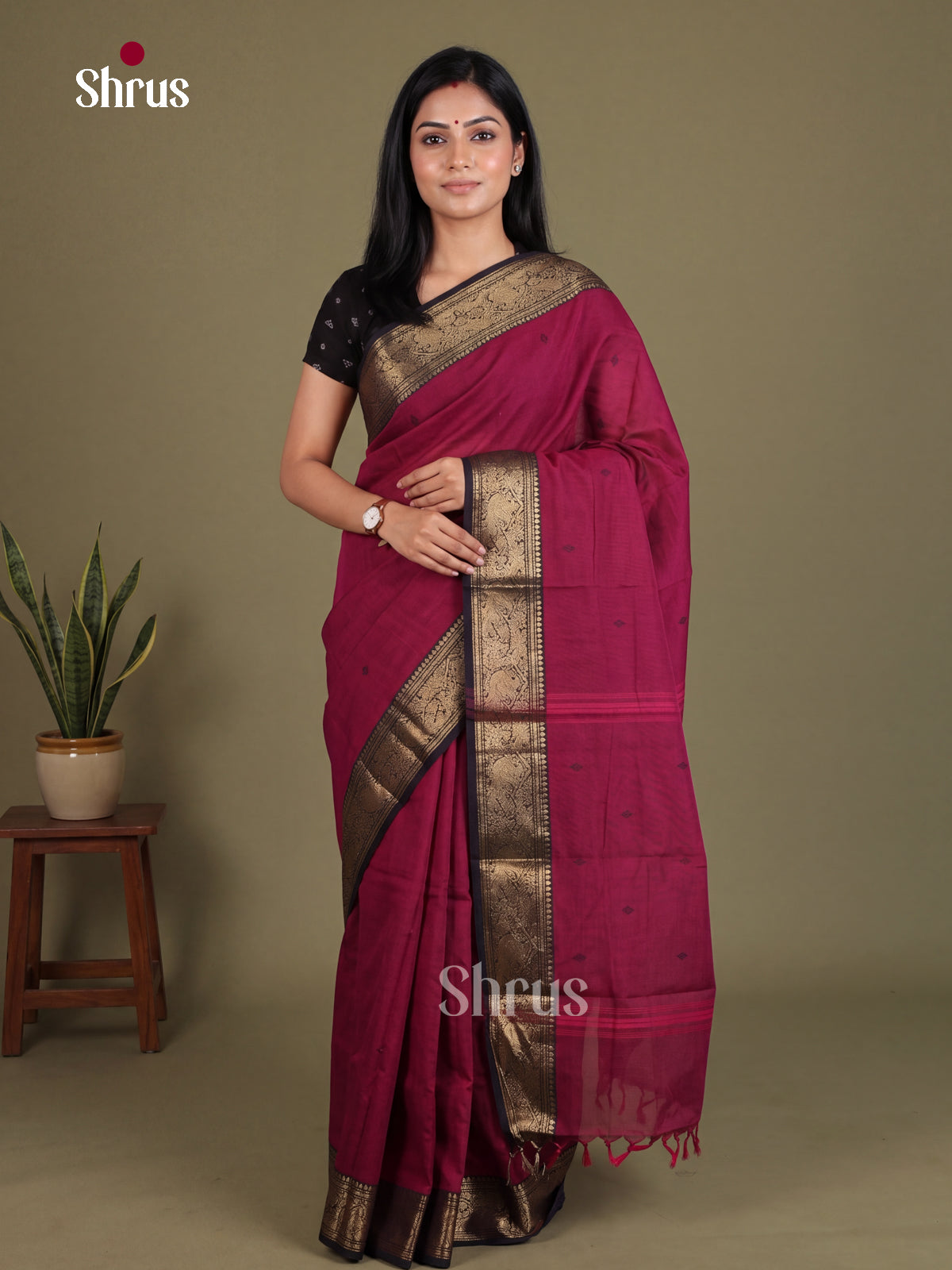 Chettinad Cotton Saree - EES26186