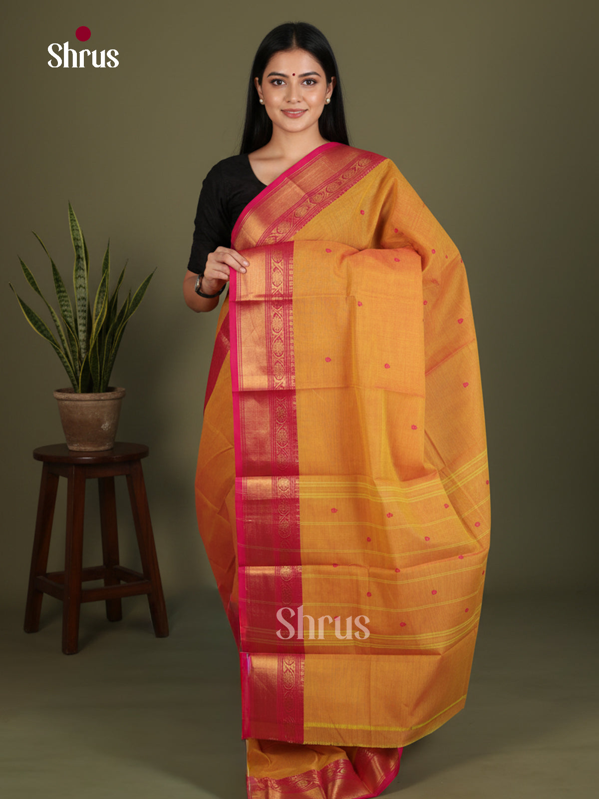 Chettinad Cotton Saree - EES26190