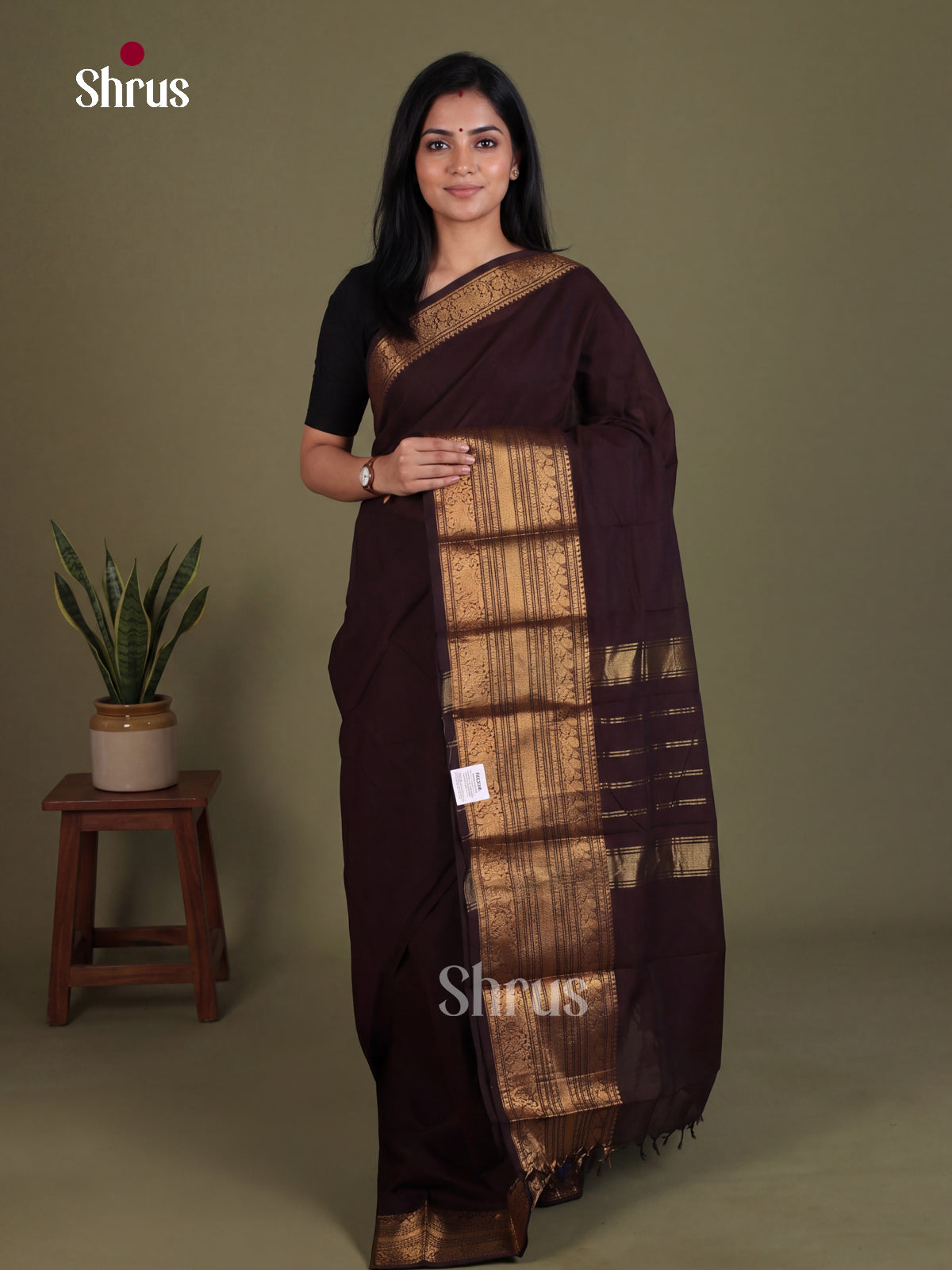 Chettinad Cotton Saree - EES26201