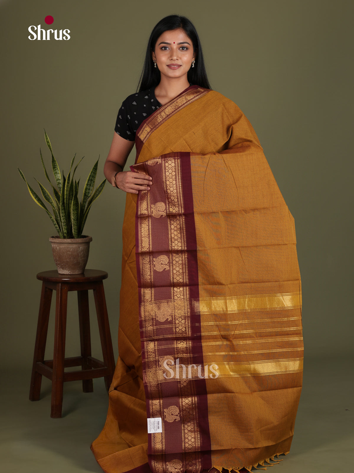 Chettinad Cotton Saree - EES26203