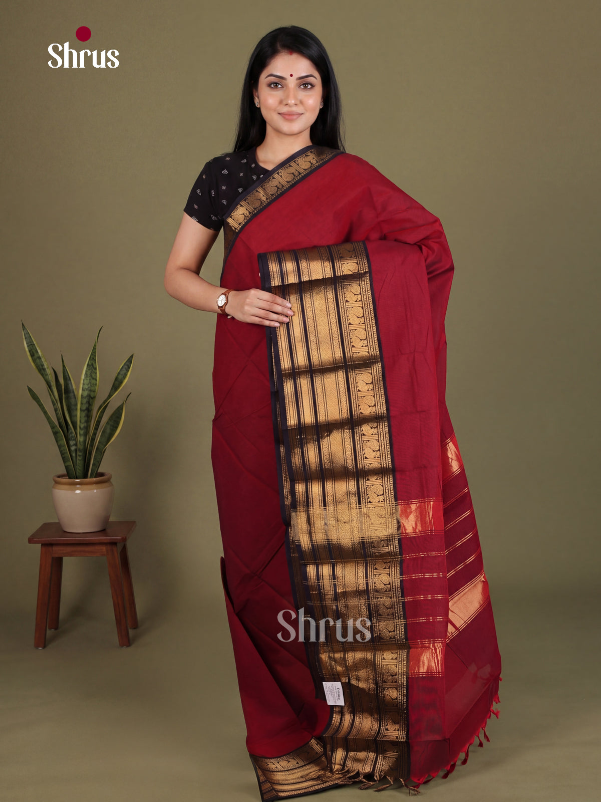 Chettinad Cotton Saree - EES26216