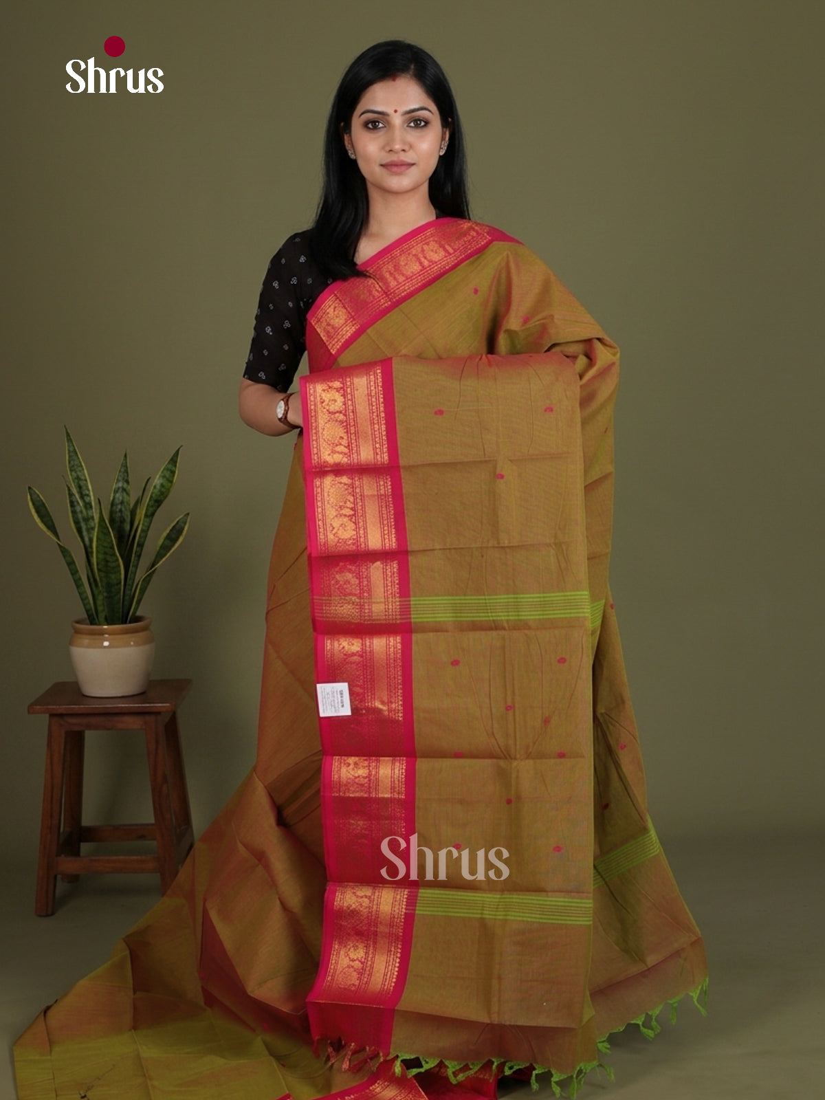 Chettinad Cotton Saree - EES26245