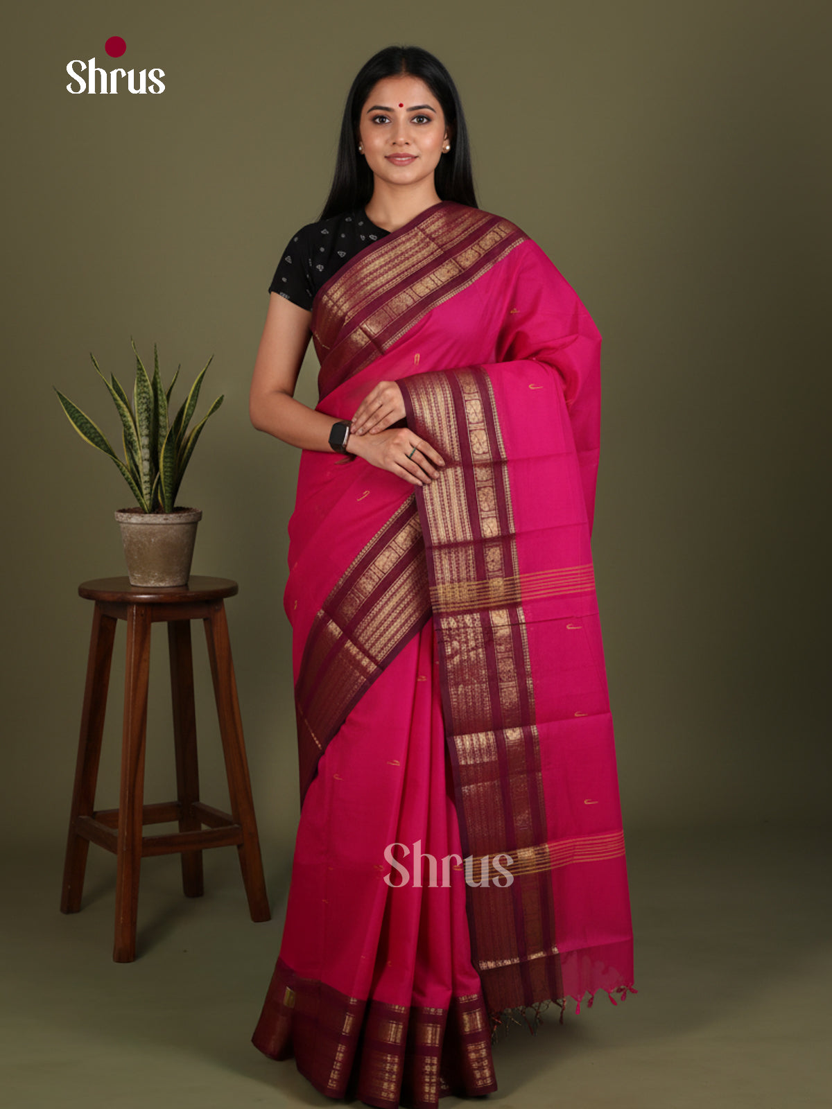 Chettinad Cotton Saree - EES26249