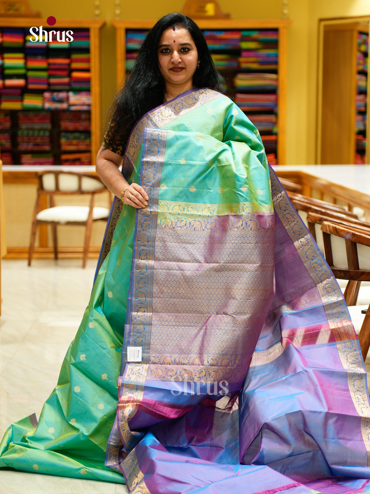 Kanchipuram silk Saree - EES27066