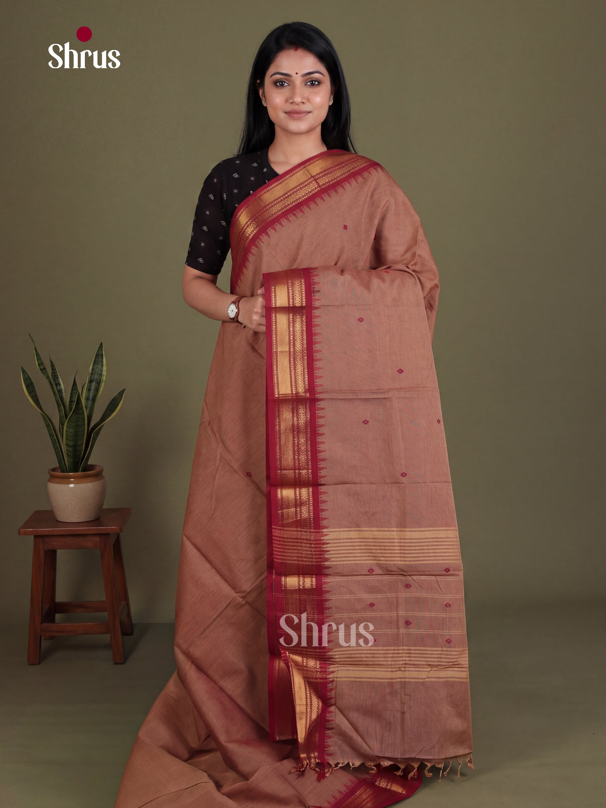 Chettinad Cotton Saree - EES27139