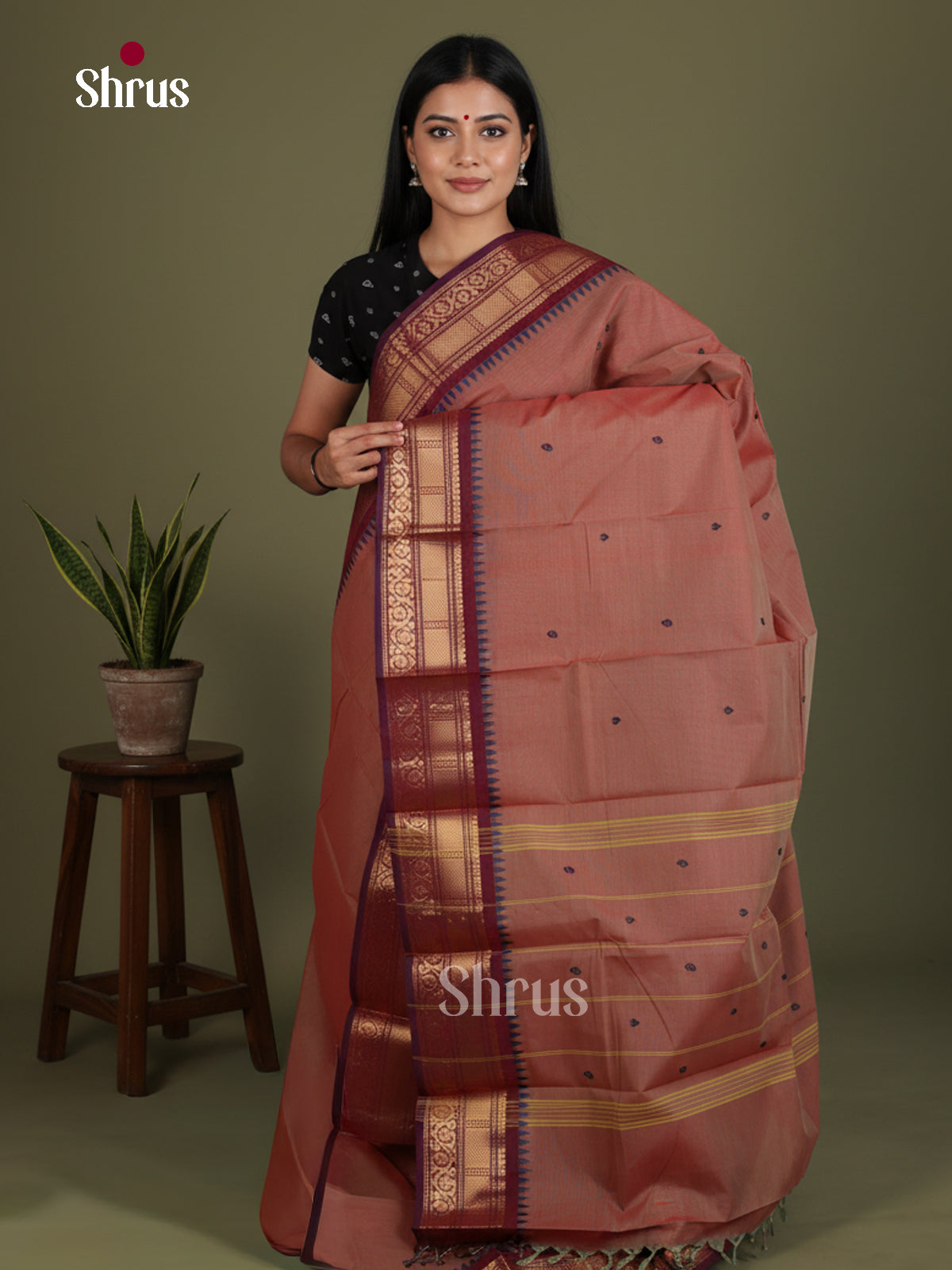 Chettinad Cotton Saree - EES27147