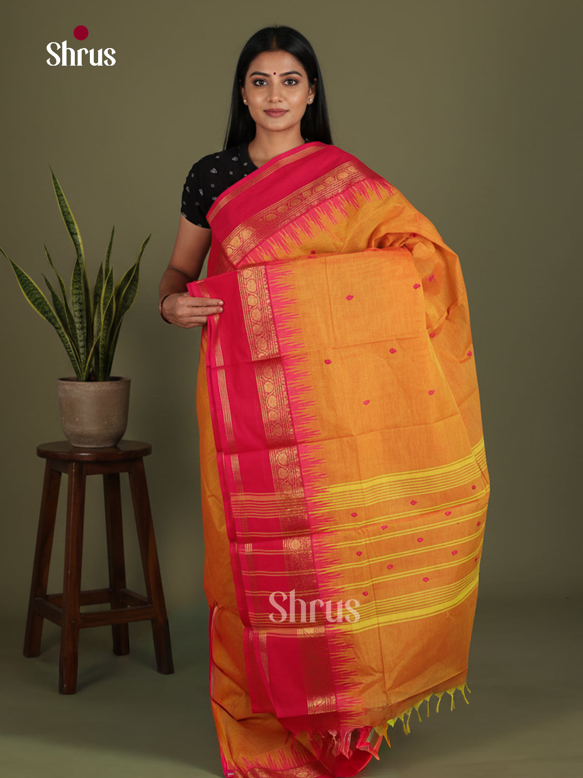 Chettinad Cotton Saree - EES27156