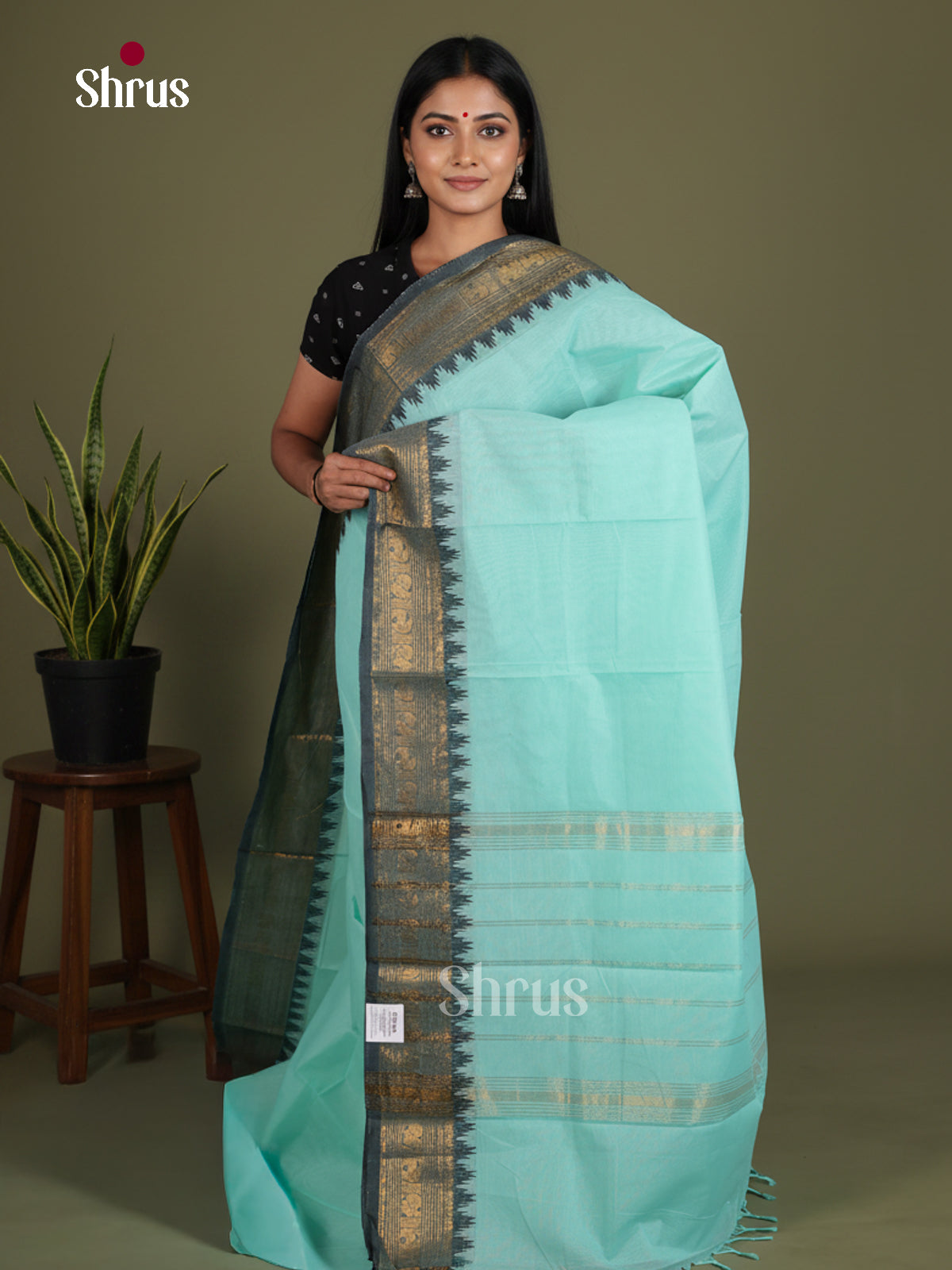Chettinad Cotton Saree - EES27201