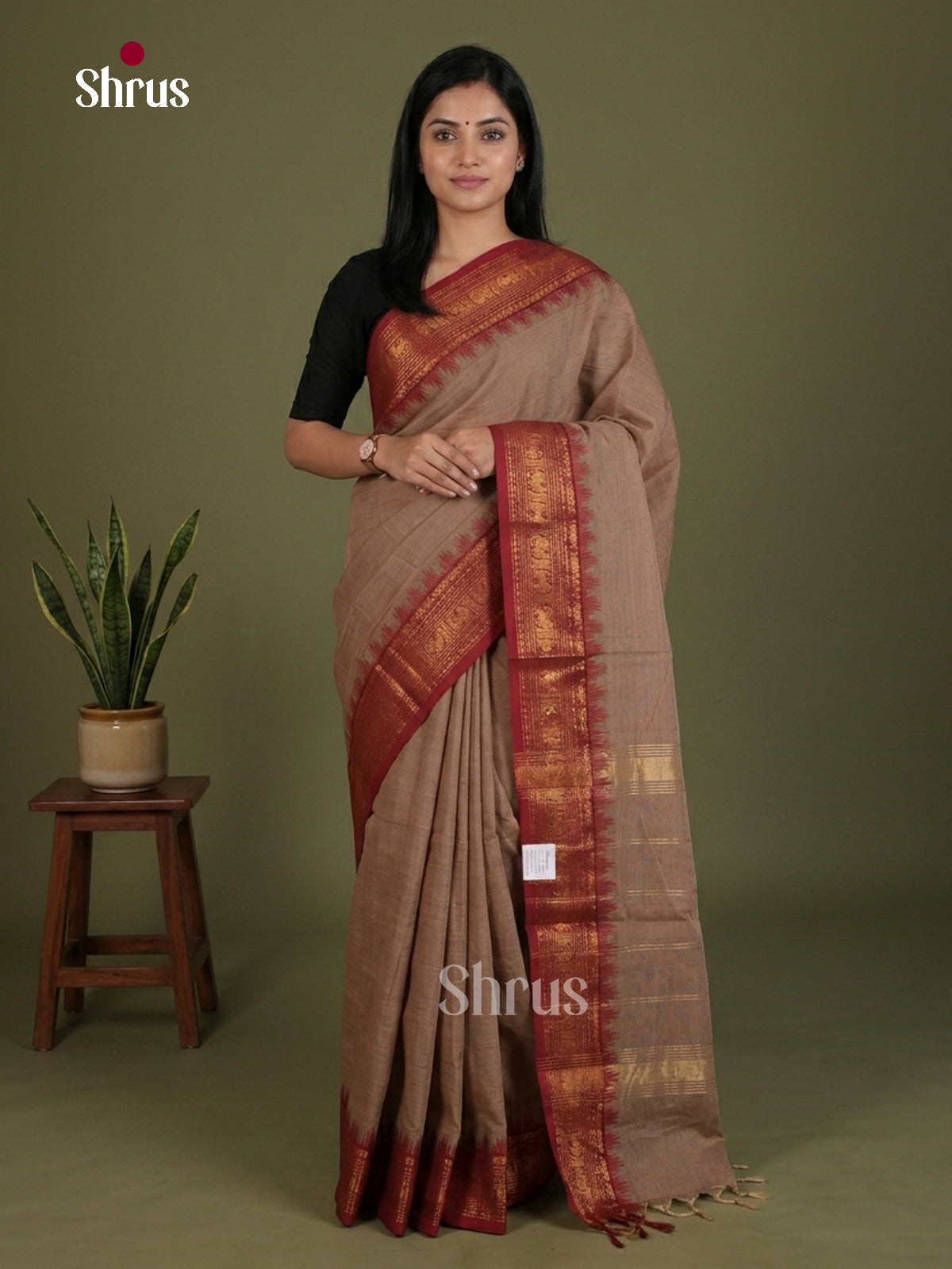 Chettinad Cotton Saree - EES27206