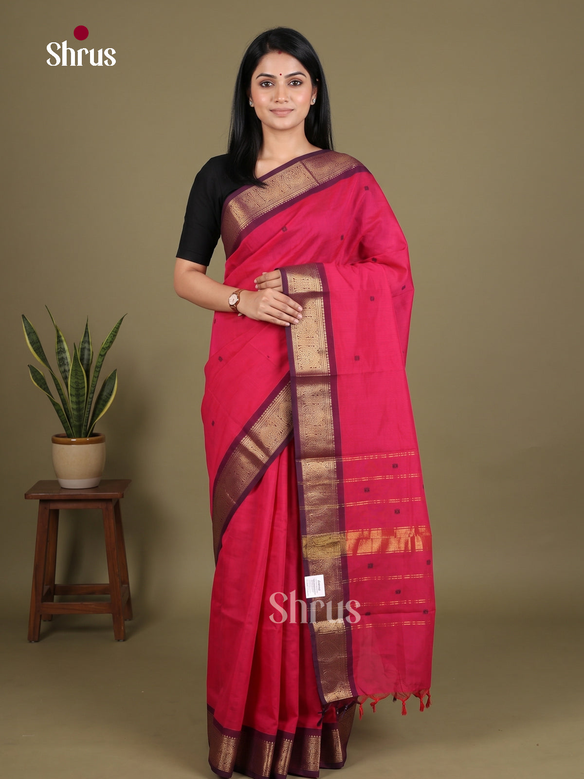 Chettinad Cotton Saree - EES27207