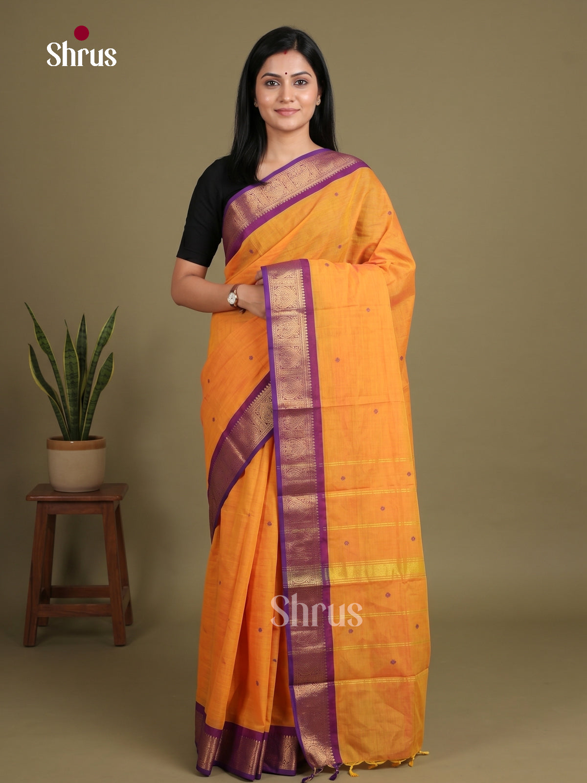 Chettinad Cotton Saree - EES27209