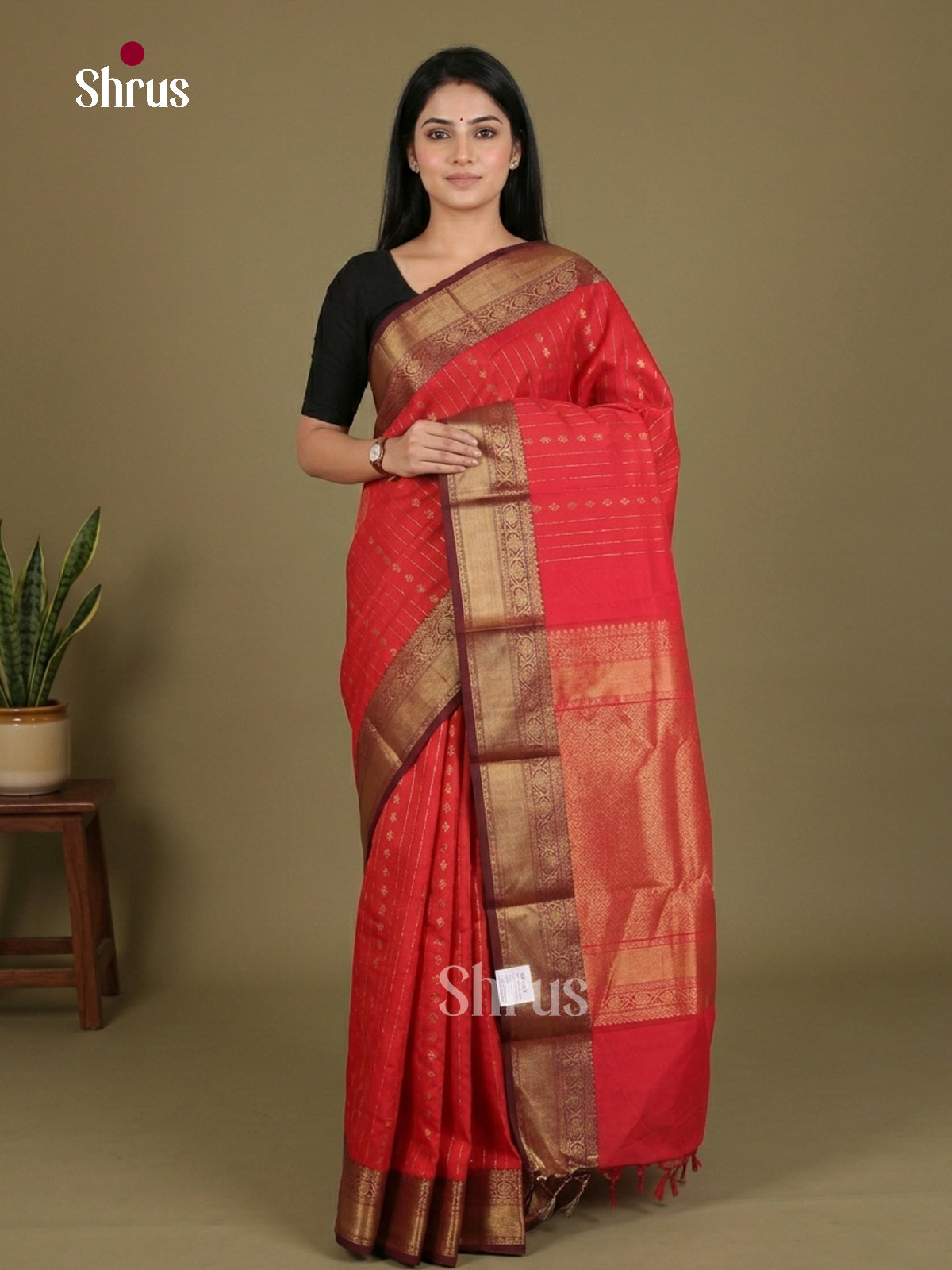 Chettinad Cotton Saree - EES27214