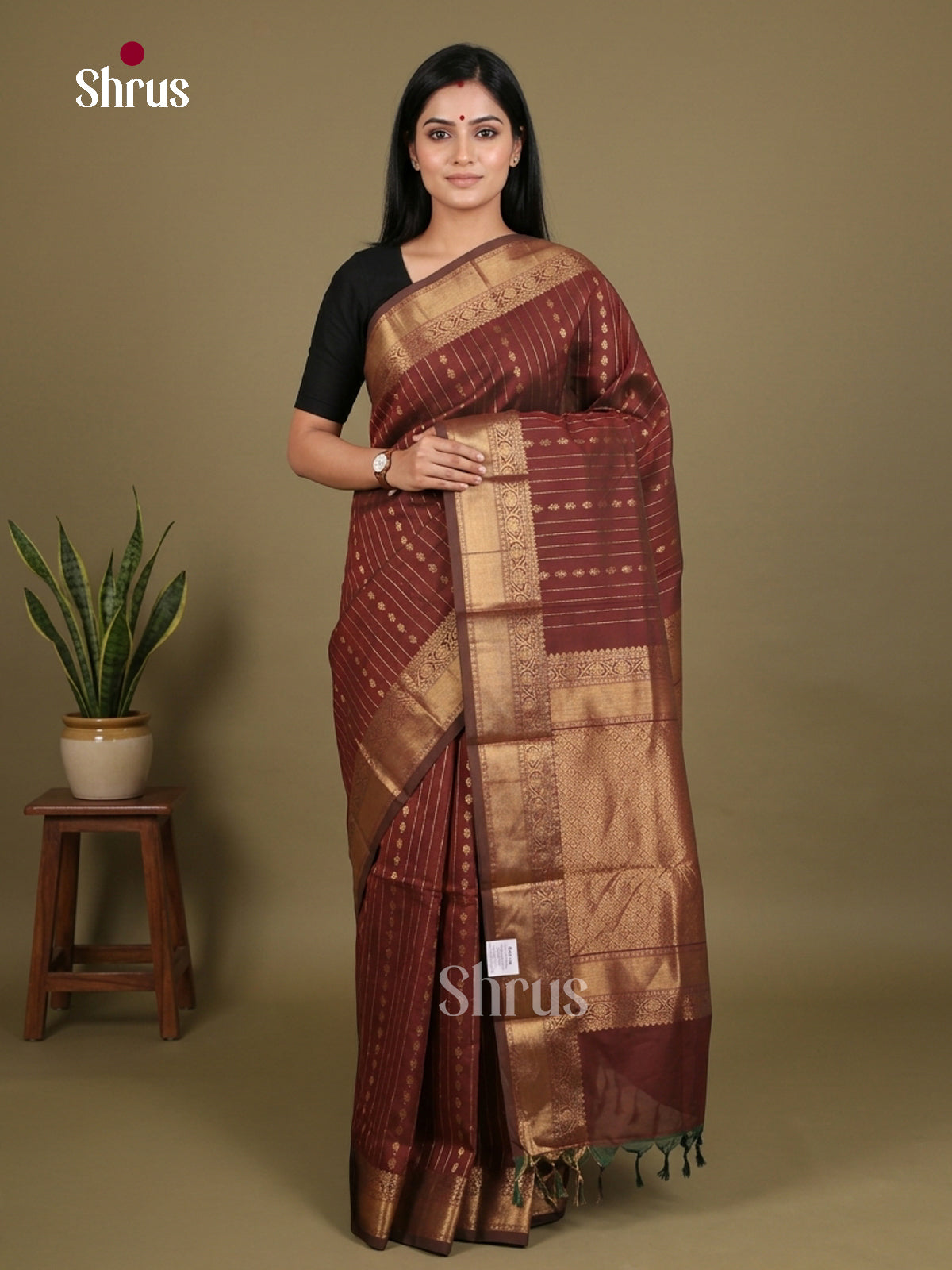 Chettinad Cotton Saree - EES27215