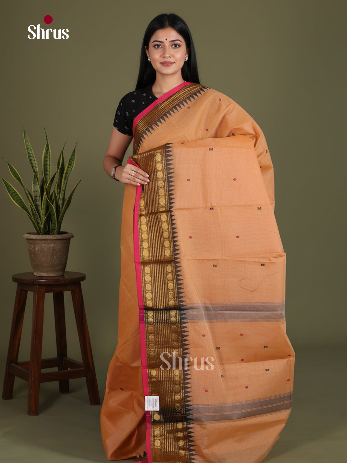 Chettinad Cotton Saree - EES27243