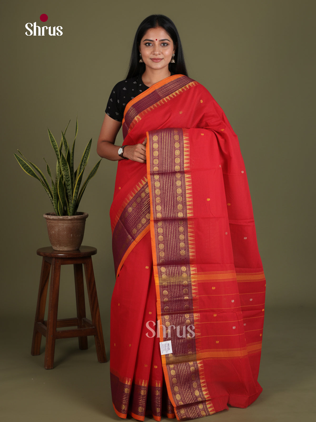 Chettinad Cotton Saree - EES27244