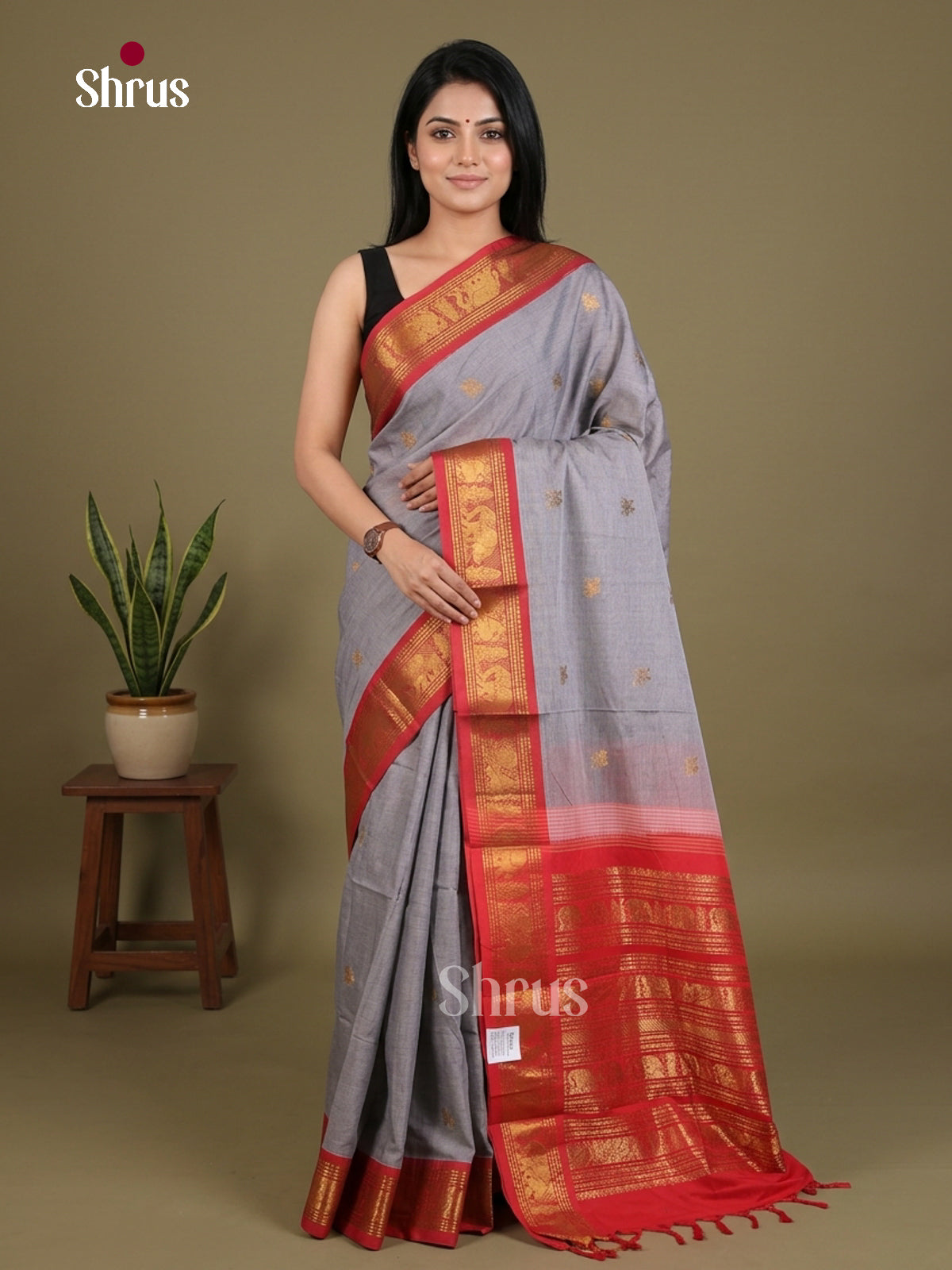 Chettinad Cotton Saree - EES27272 - Shop on Shrus.com