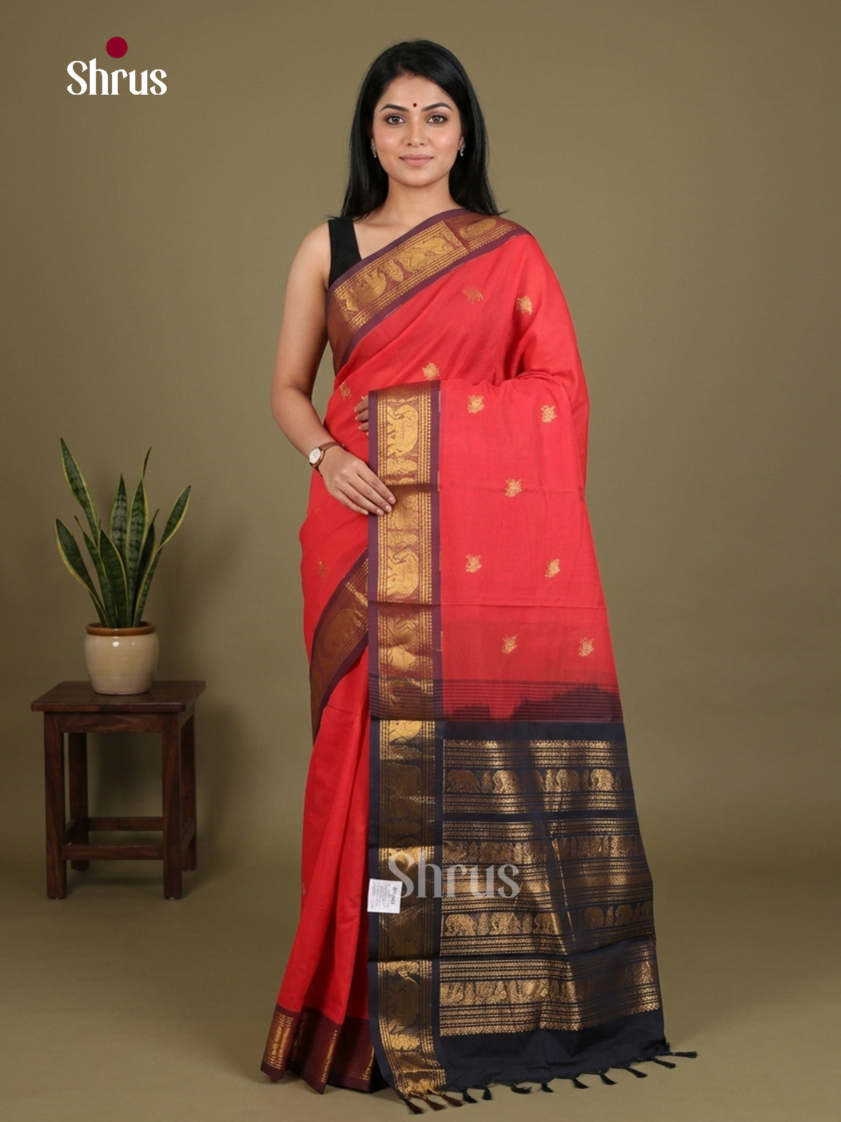 Chettinad Cotton Saree - EES27273 - Shop on Shrus.com