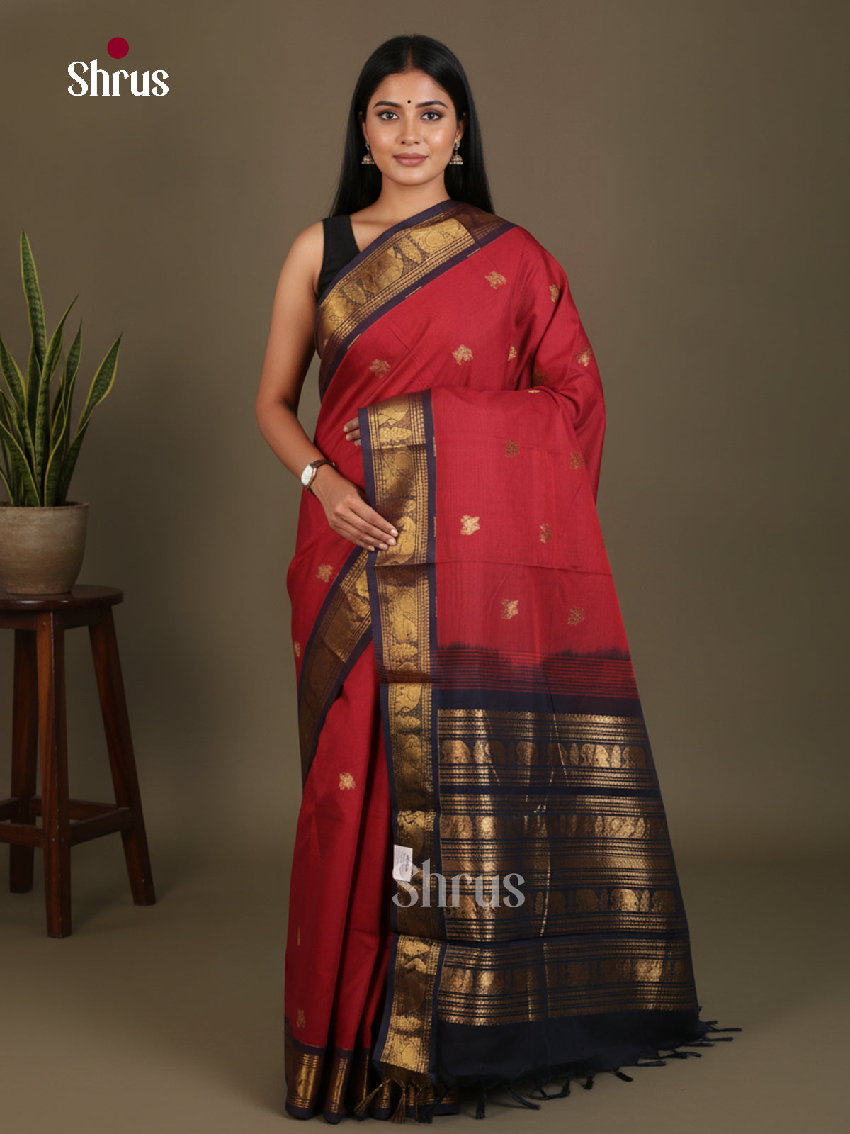 Chettinad Cotton Saree - EES27274 - Shop on Shrus.com
