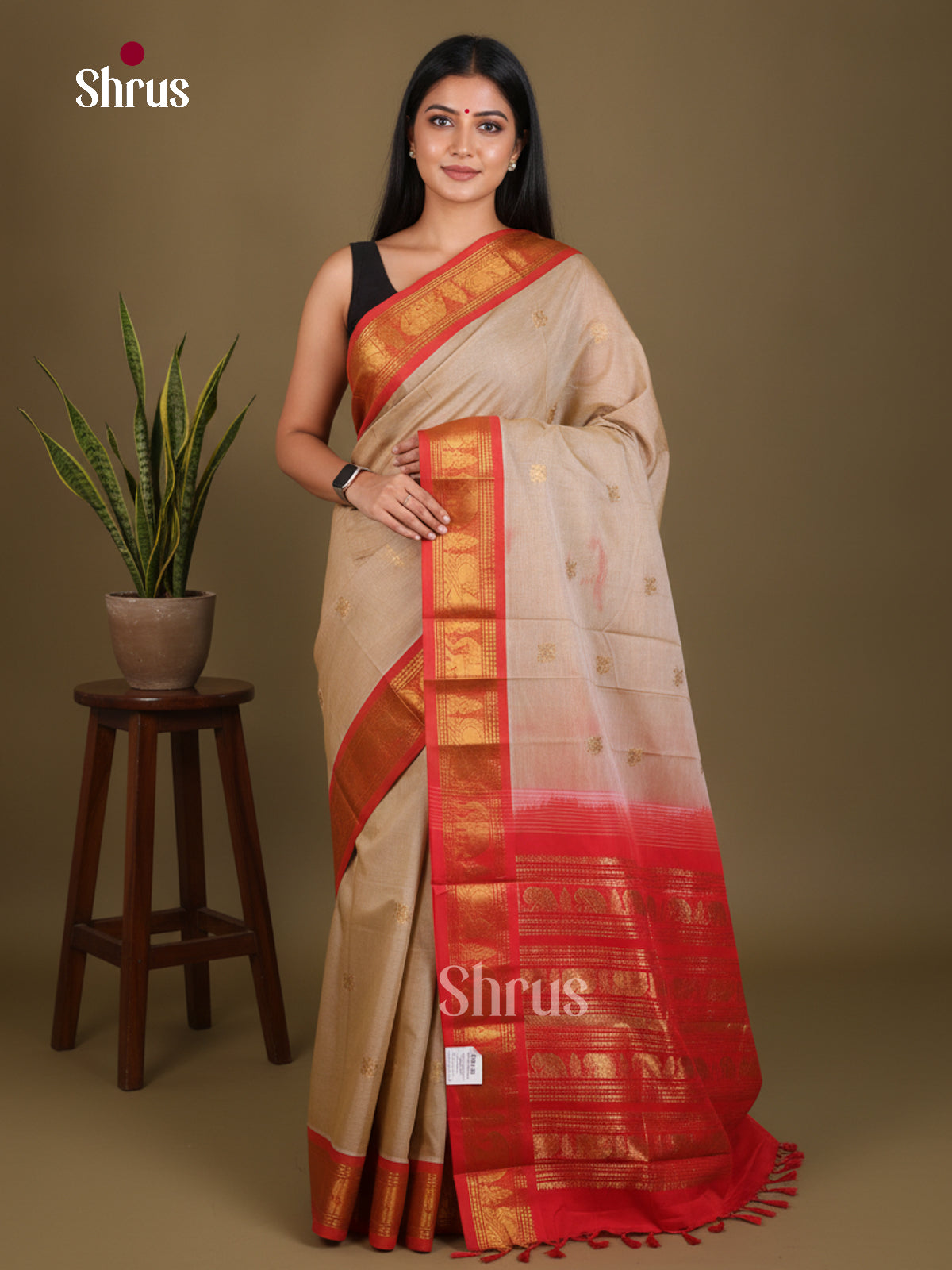 Chettinad Cotton Saree - EES27276 - Shop on Shrus.com
