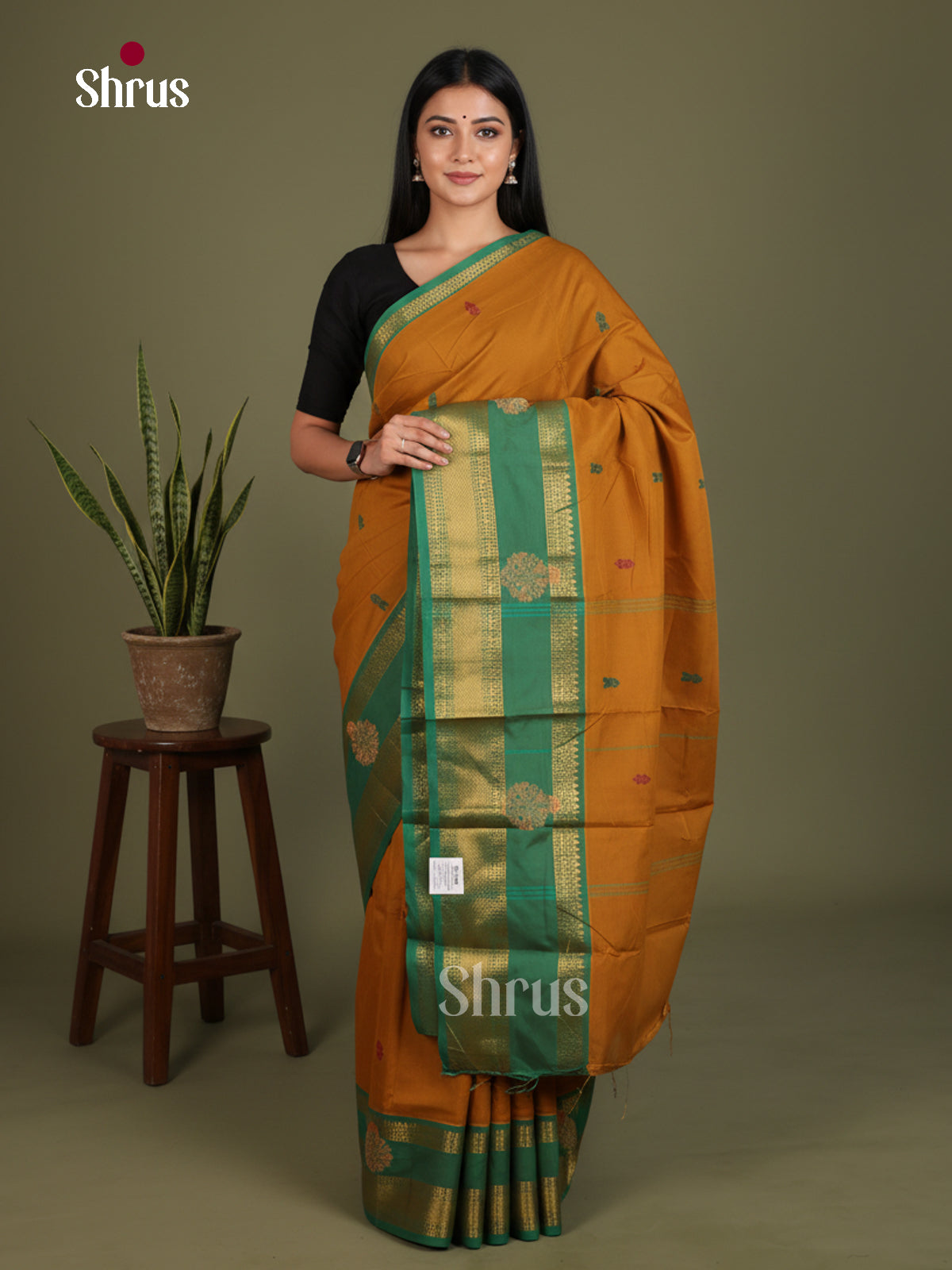 Chettinad Mix Cotton Saree - EES28103