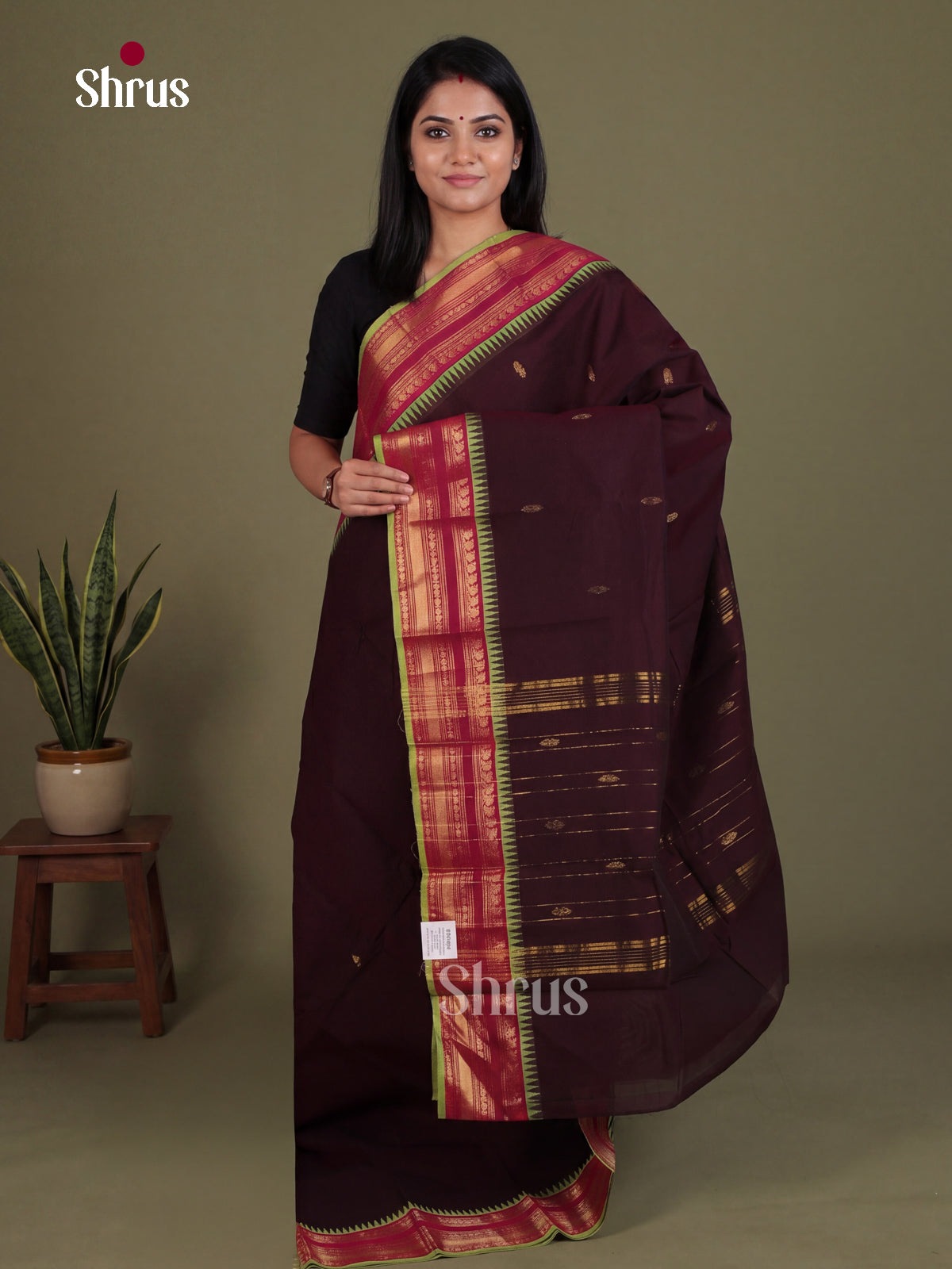 Chettinad Cotton Saree - EES28134