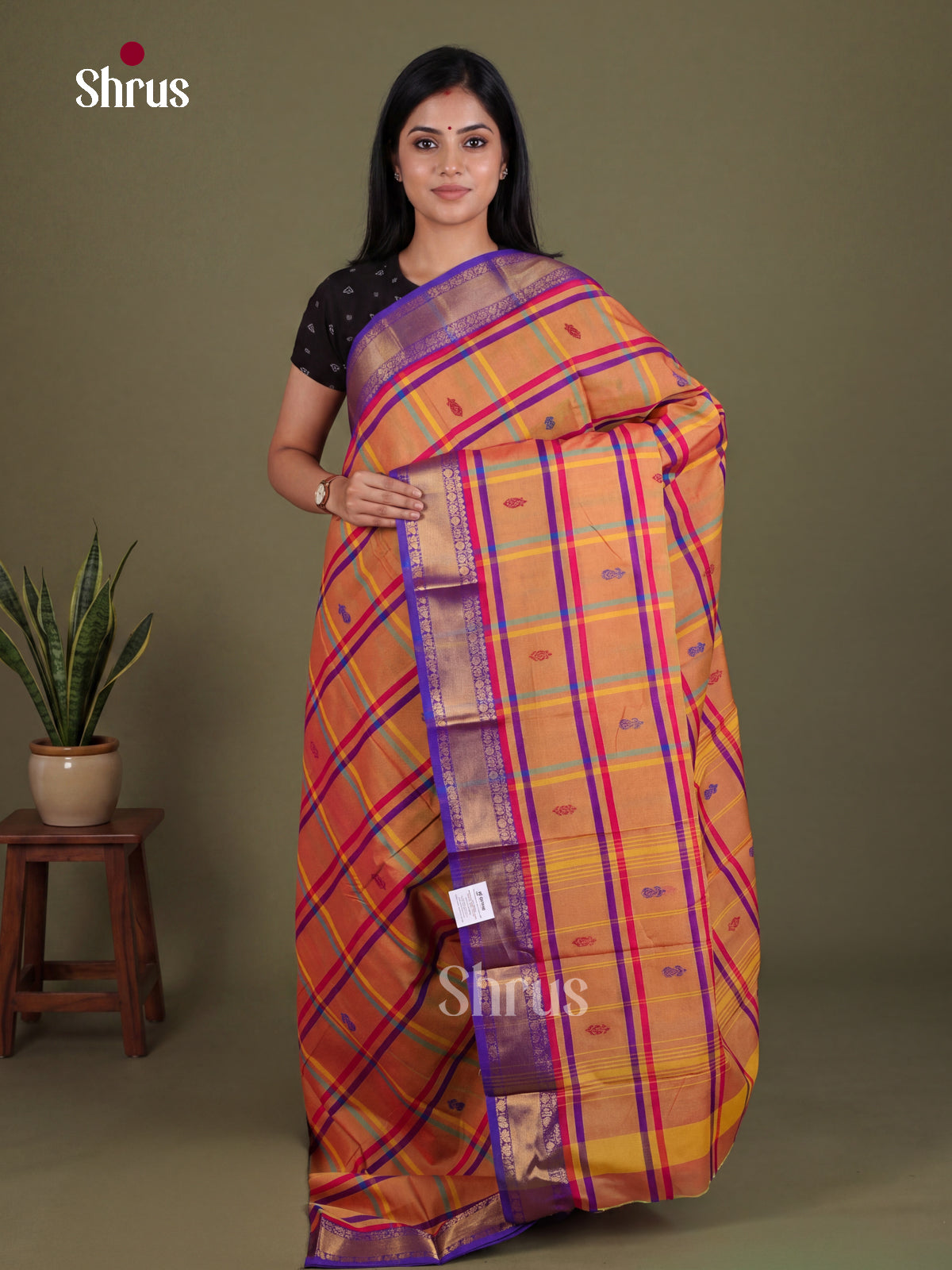 Chettinad Mix Cotton Saree - EES28149