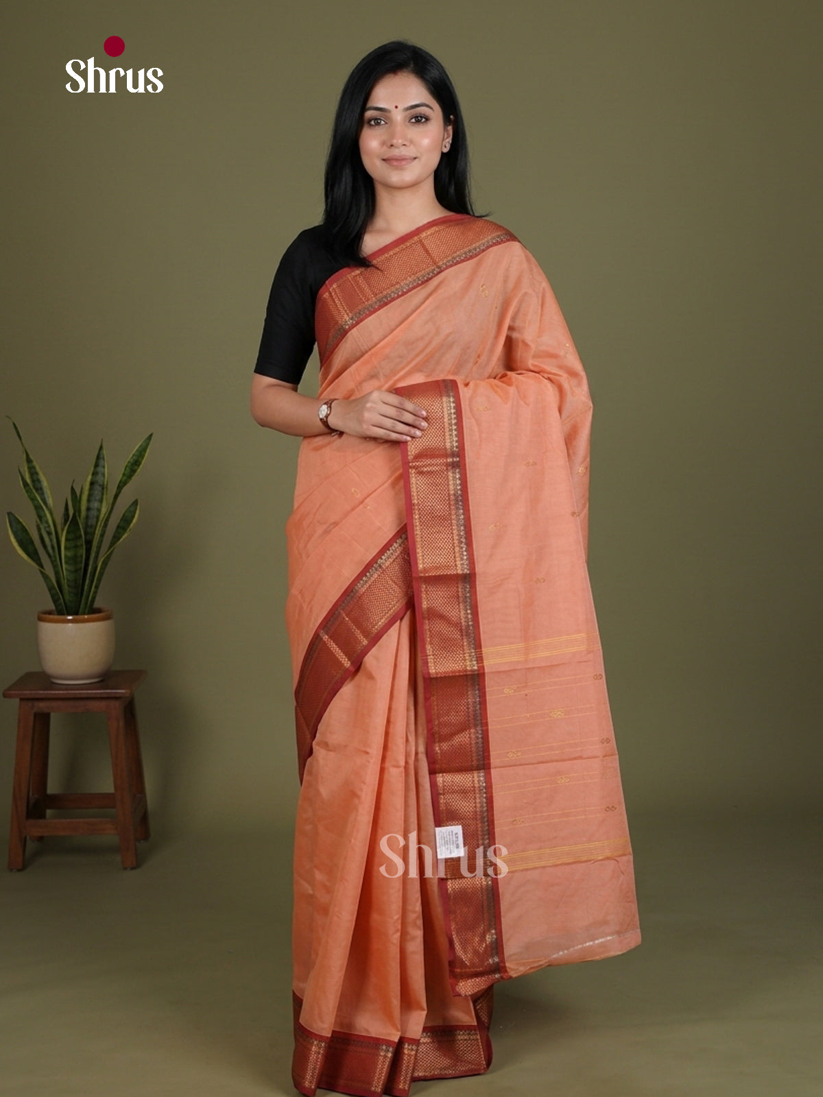 Chettinad Mix Cotton Saree - EES28179
