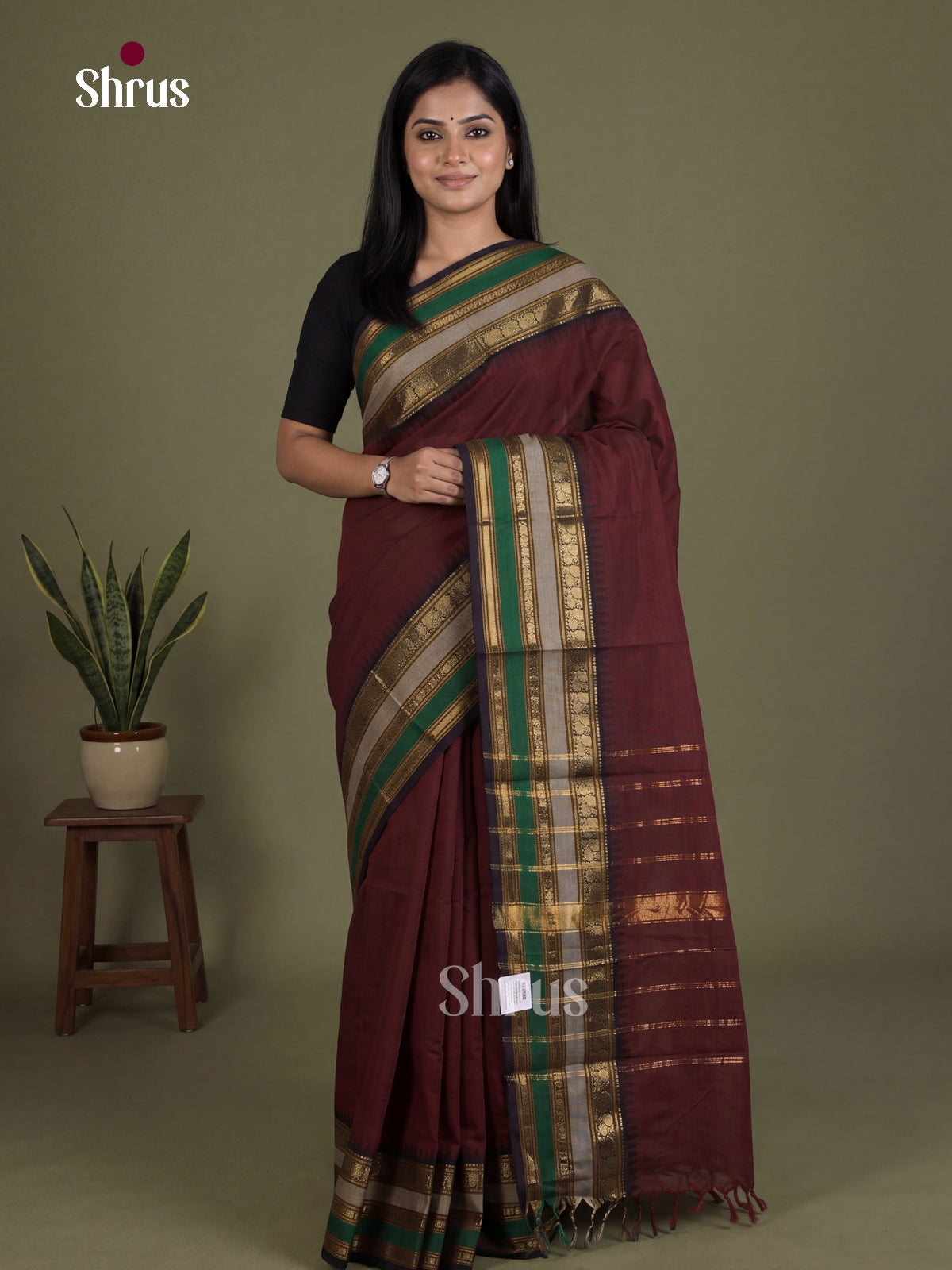 Chettinad Cotton Saree With Multicoloured Temple Zari Border & Pallu