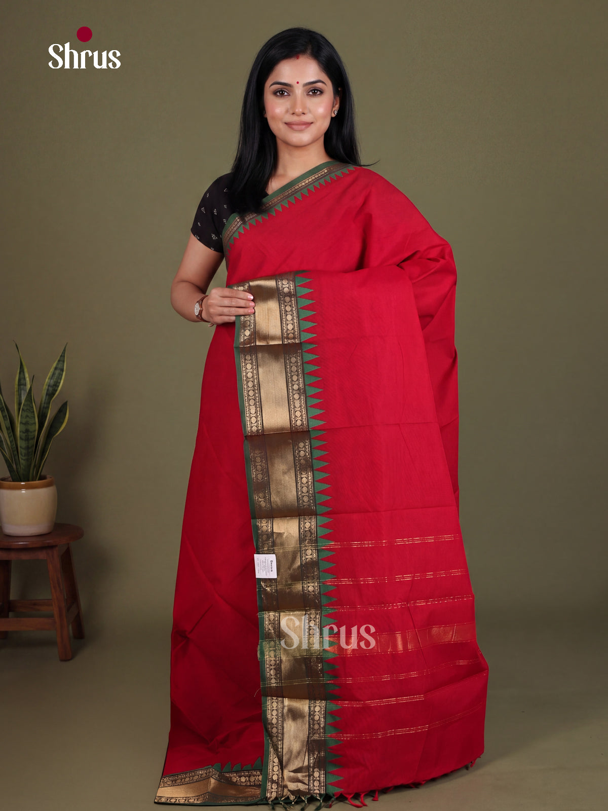Chettinad Cotton Saree - EES28230