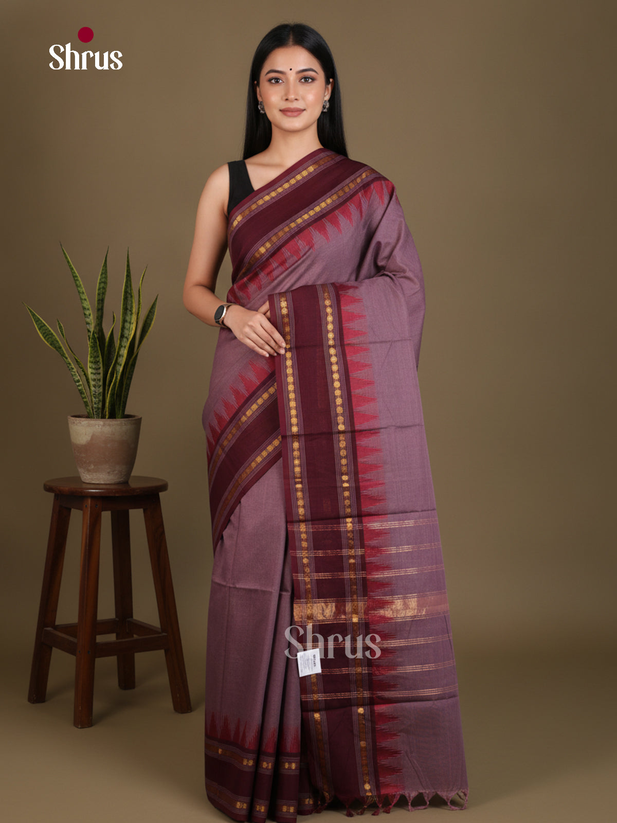 Chettinad Cotton Saree - EES29020 - Shop on Shrus.com