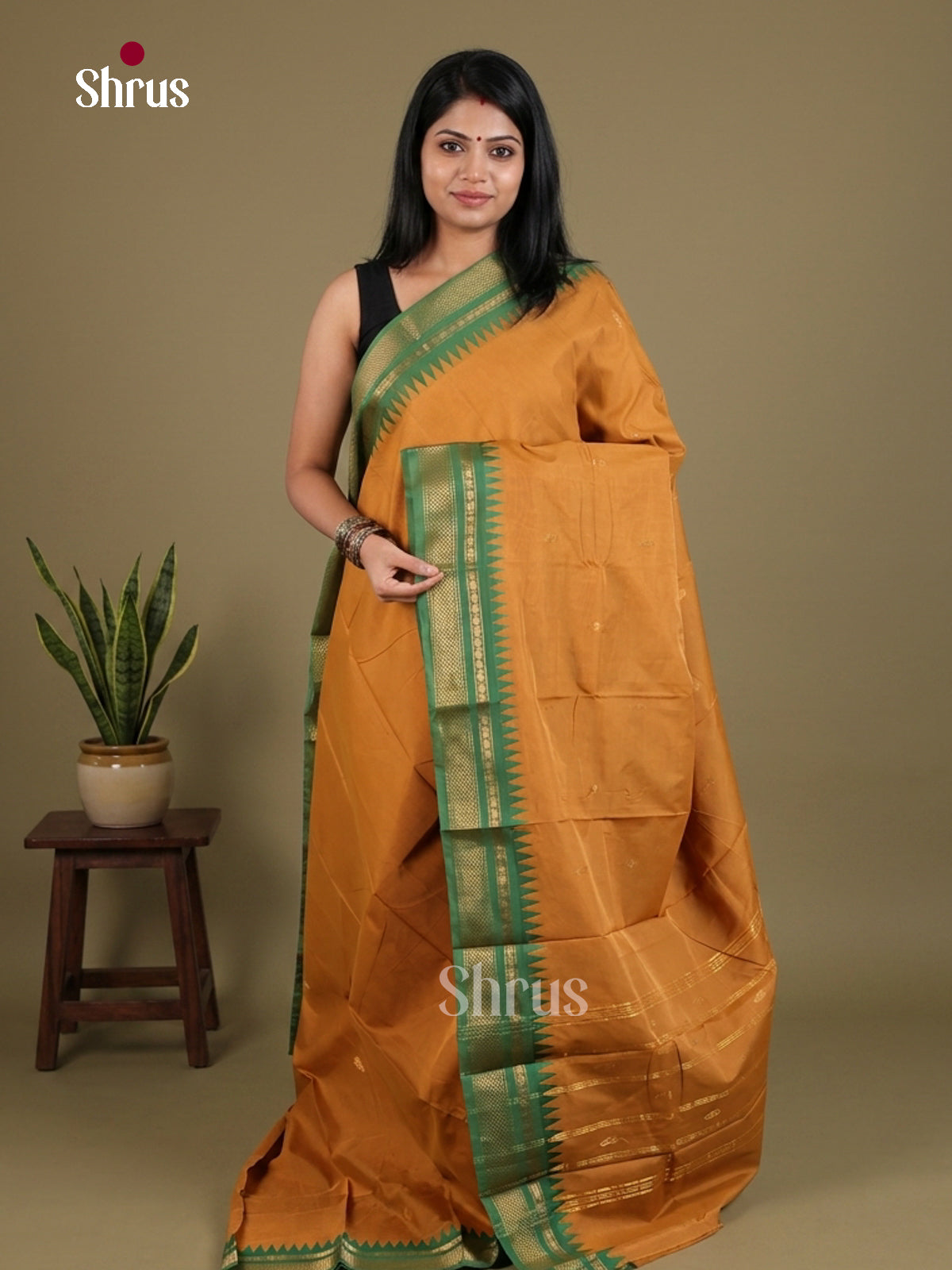 Chettinad Mix Cotton Saree - EES29583