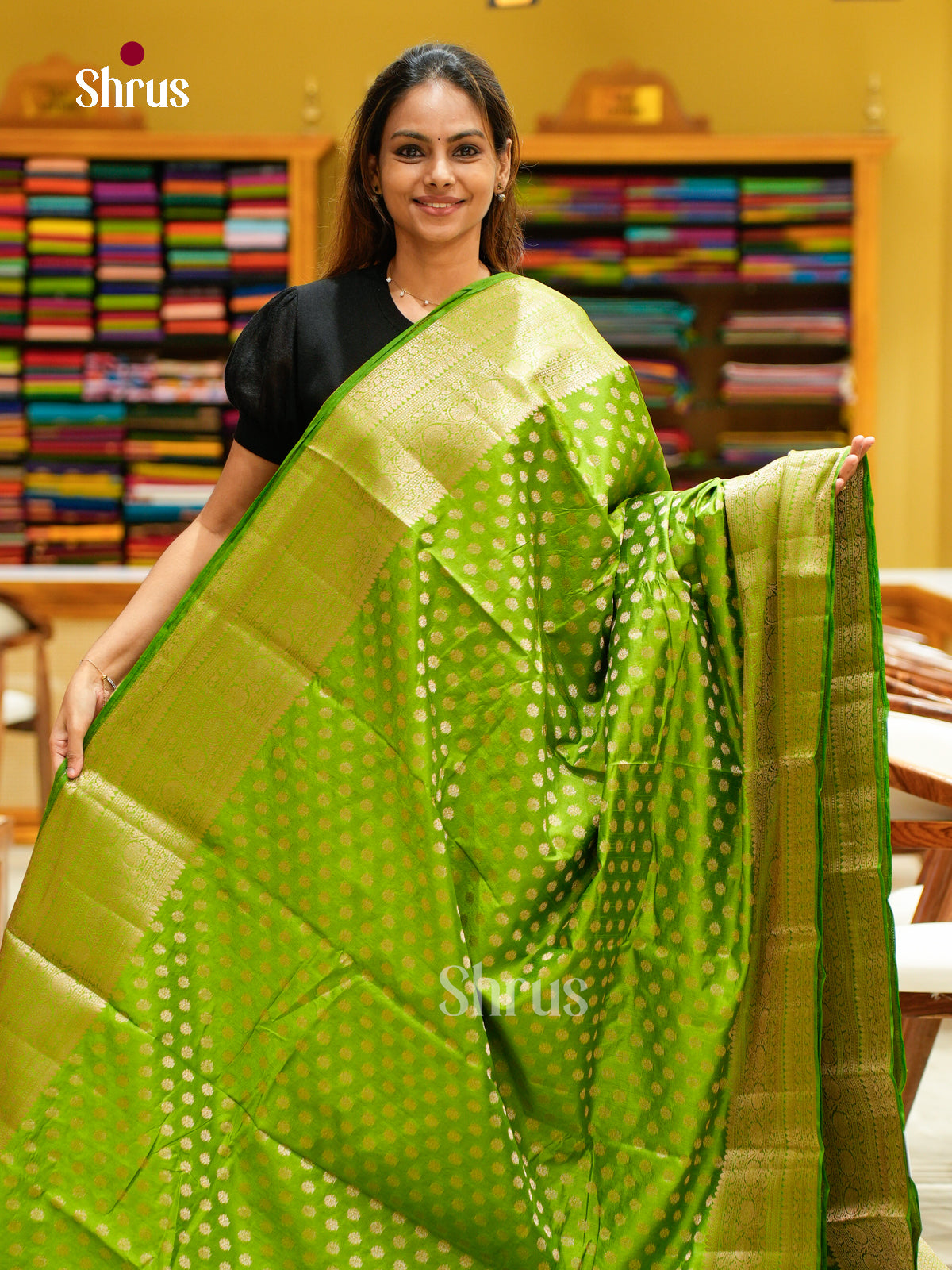 North Silk Cotton Saree - EES30036