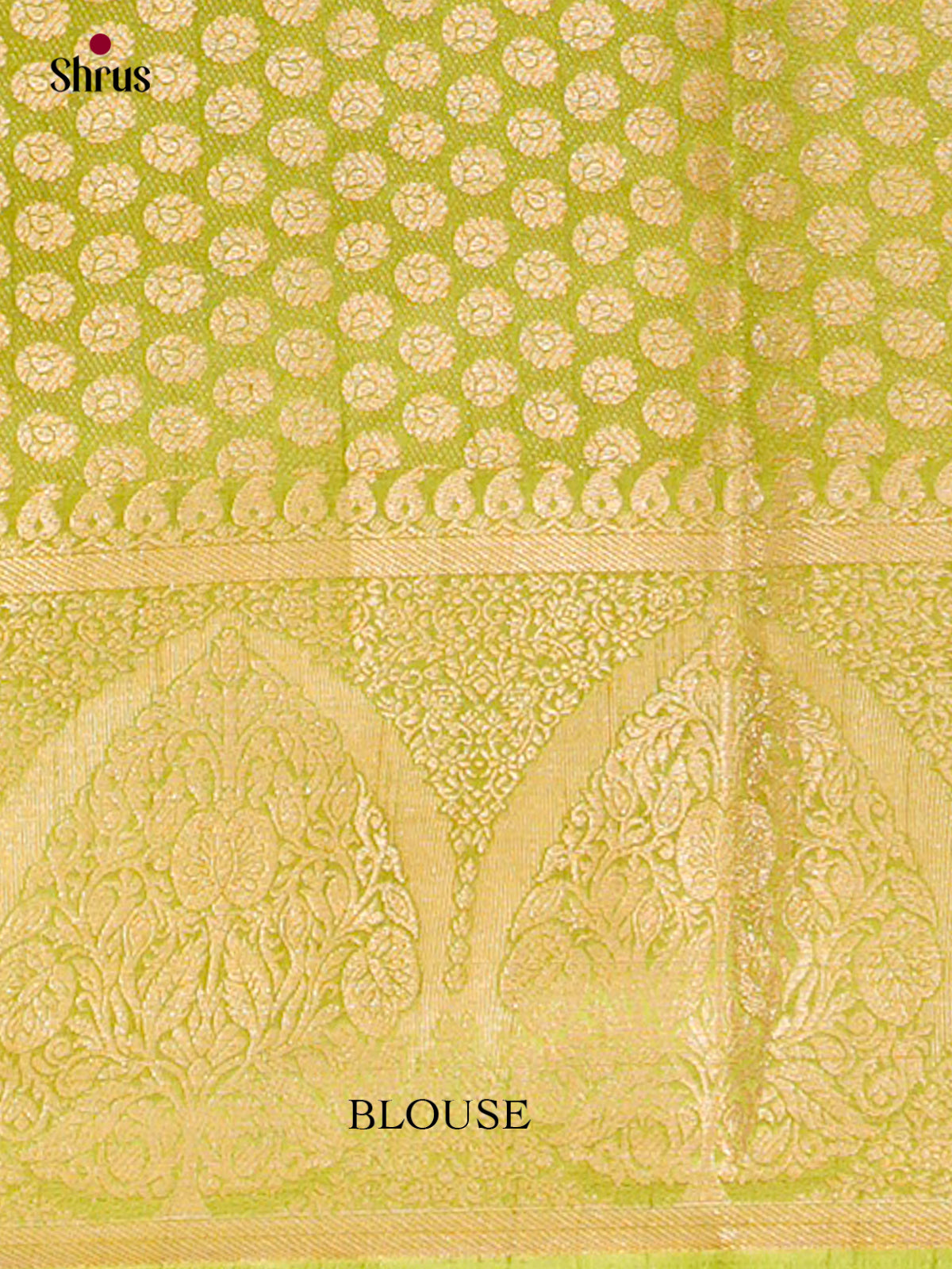 North Silk Cotton Saree - EES30039