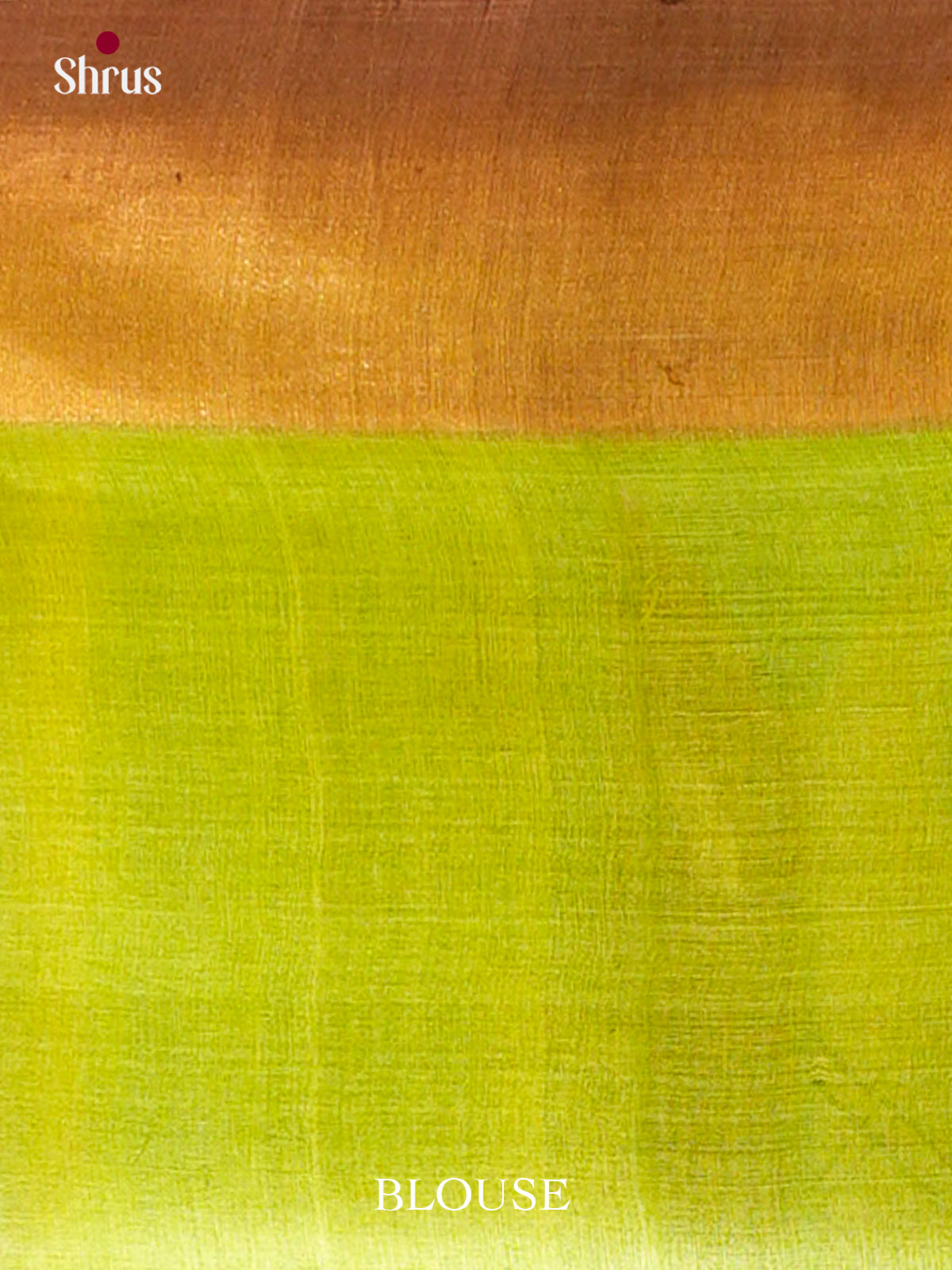 Tussar Saree - EES30174 - Shop on Shrus.com
