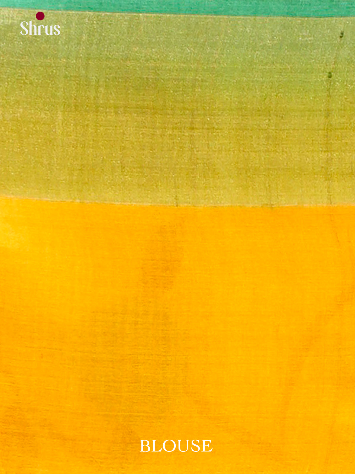 Tussar Saree - EES30180 - Shop on Shrus.com