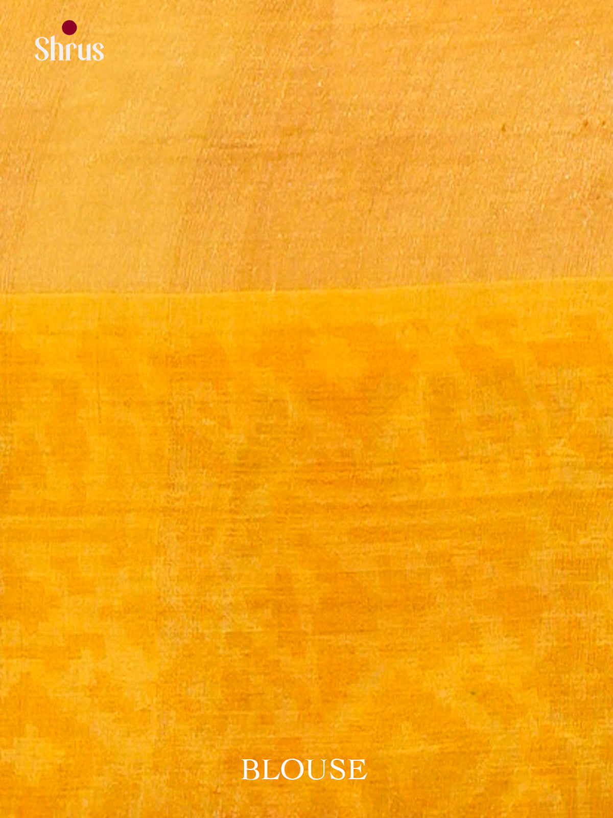 Tussar Saree - EES30231 - Shop on Shrus.com